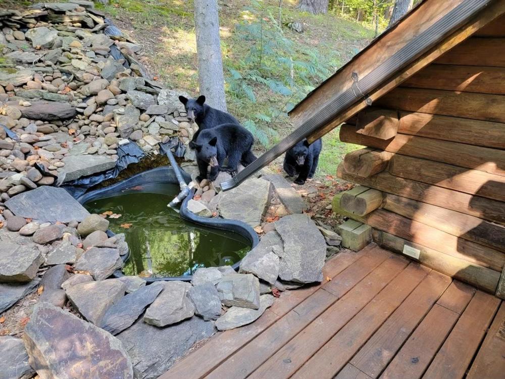 VERY private, real log cabin with hot tub! view 5
