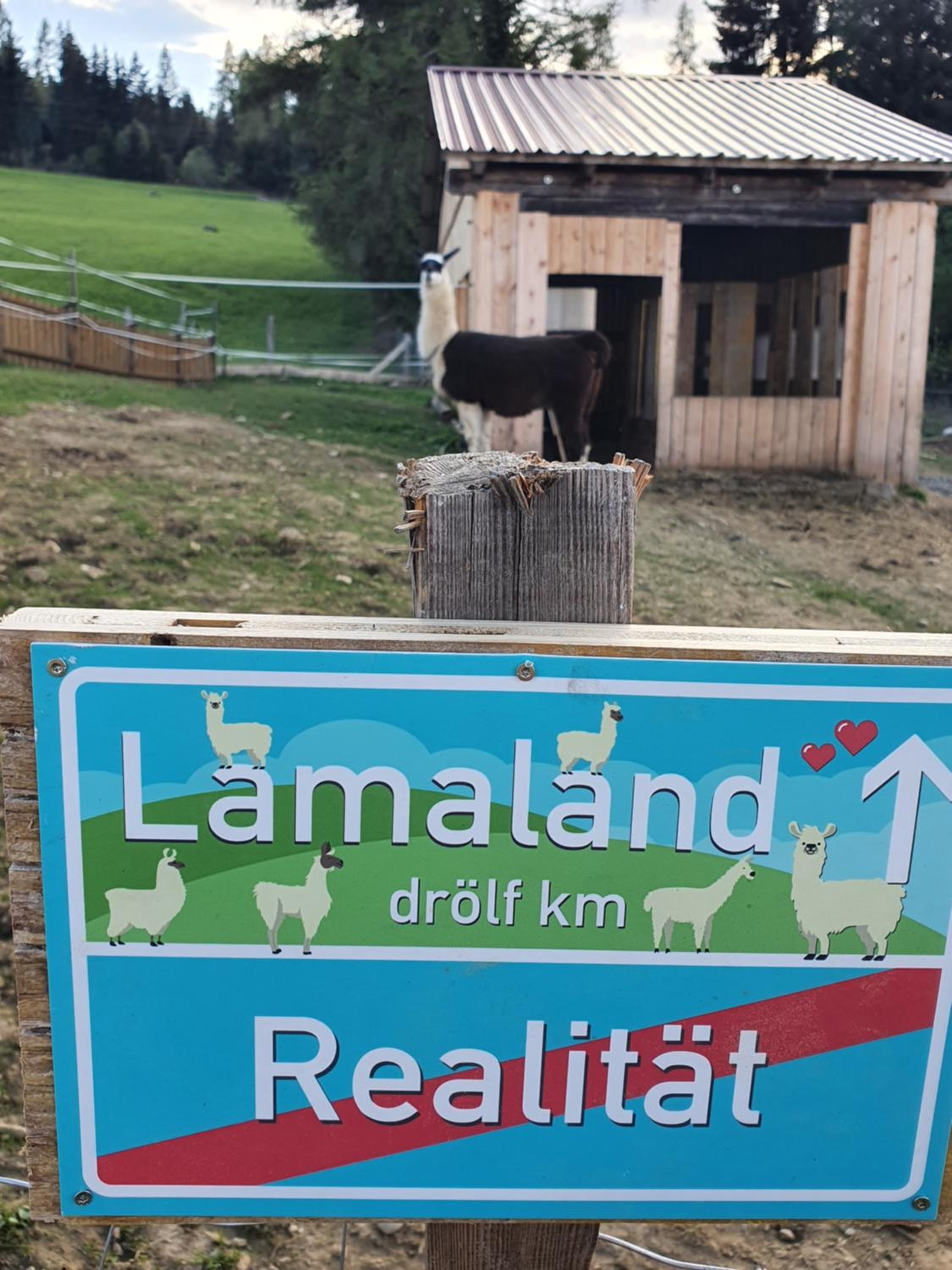 Urige Waldbienenhütte