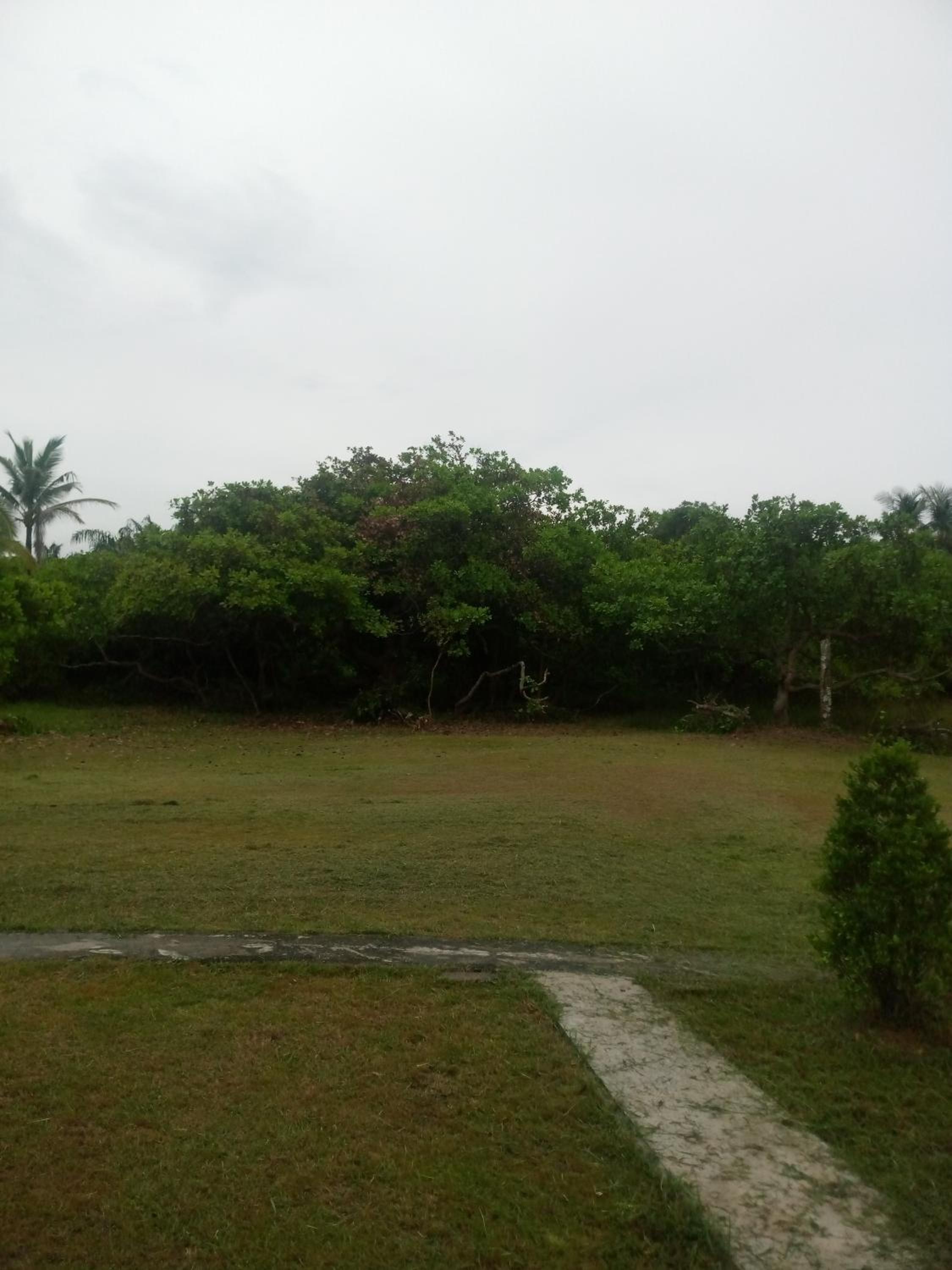 Photo 39
