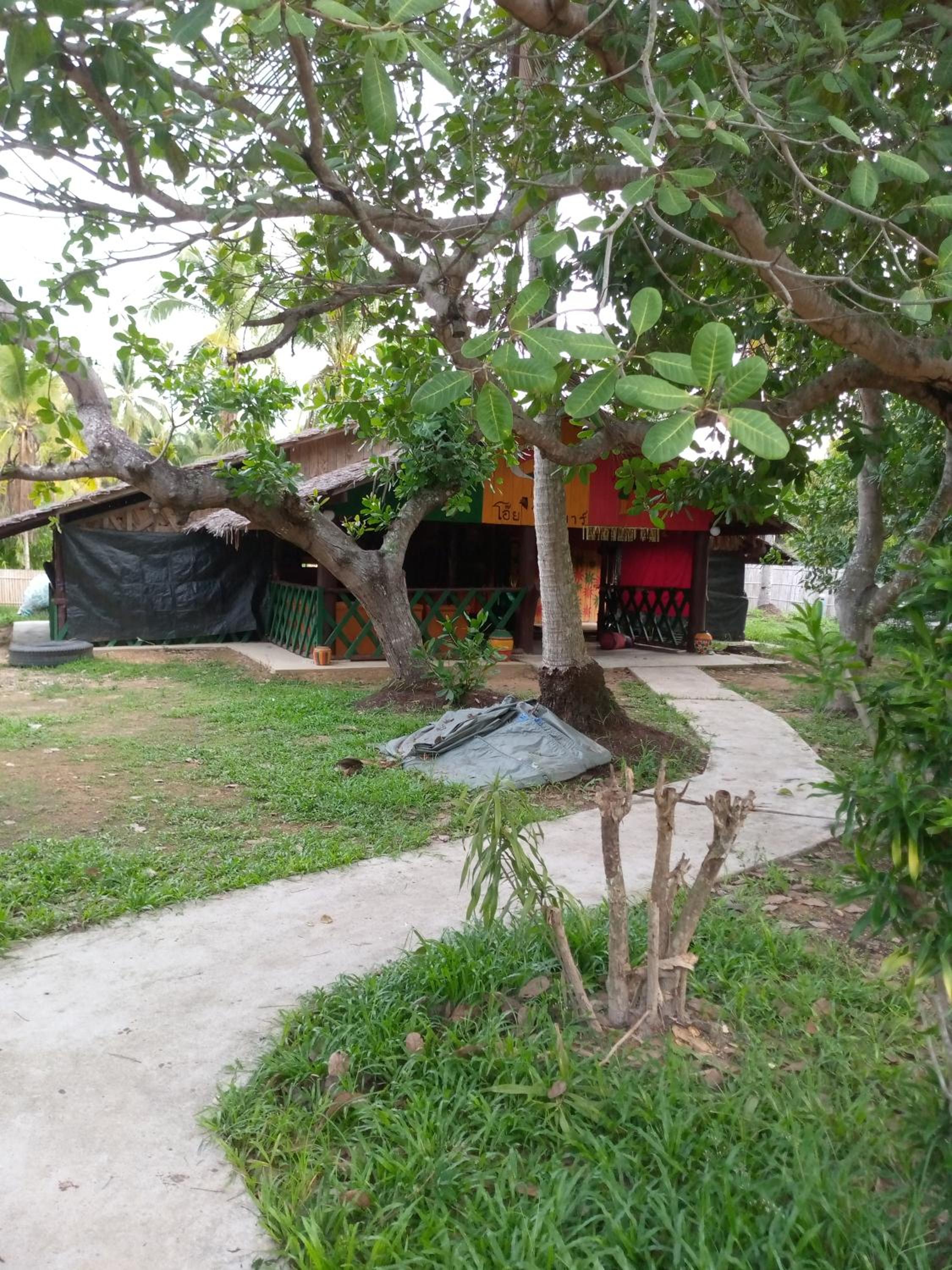 Photo 42