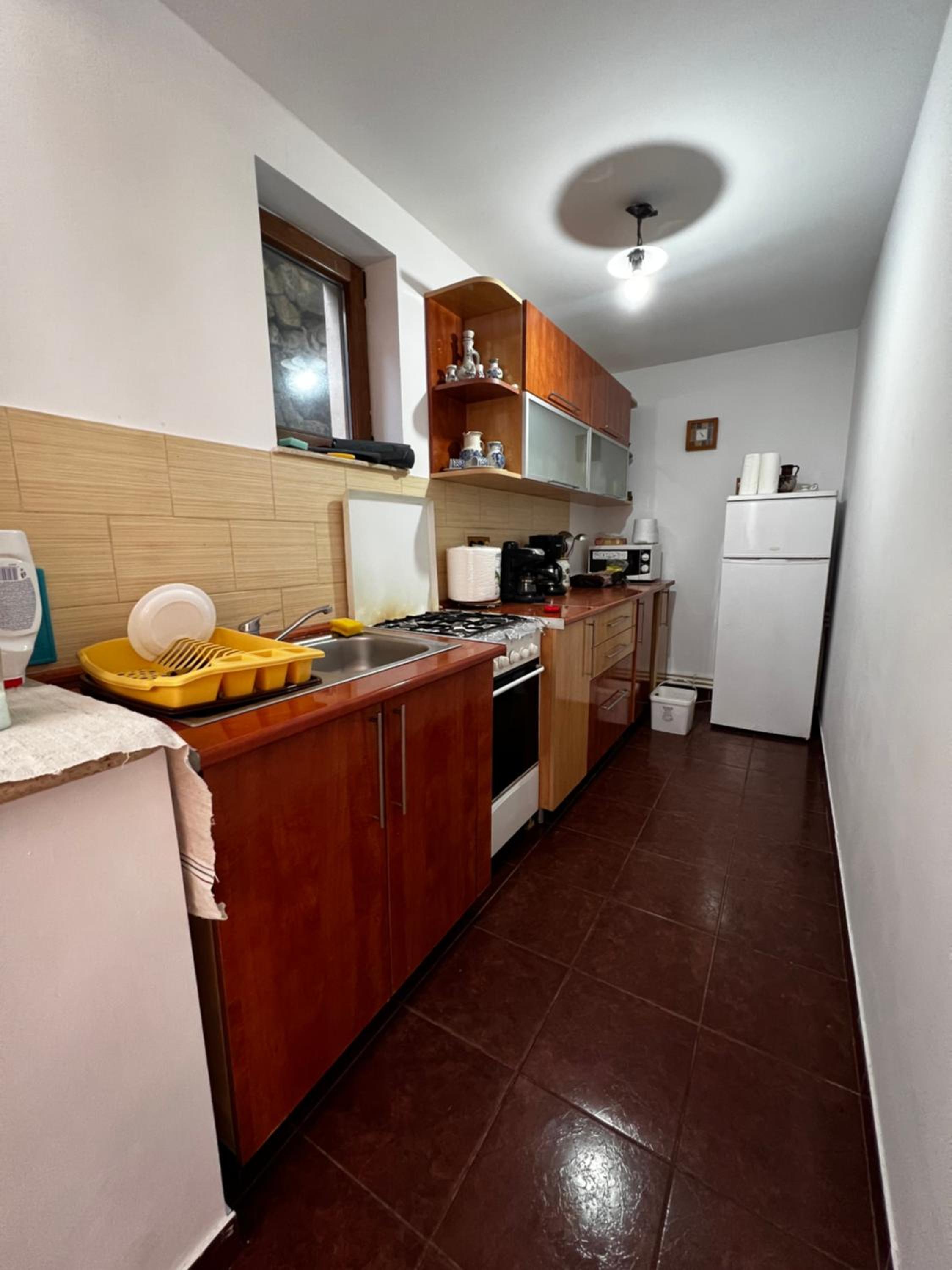 Vila Ioana view 5