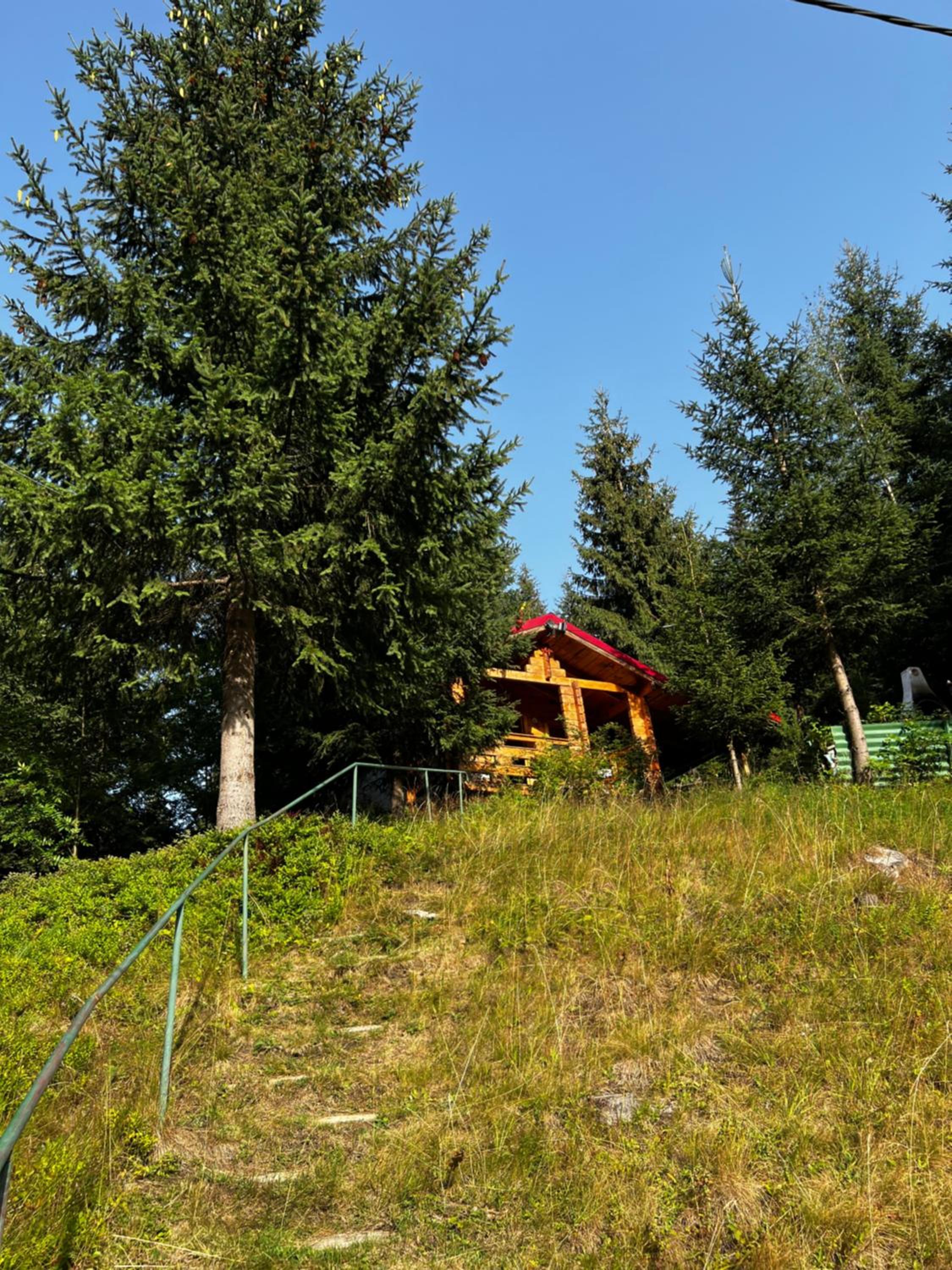 Photo 36