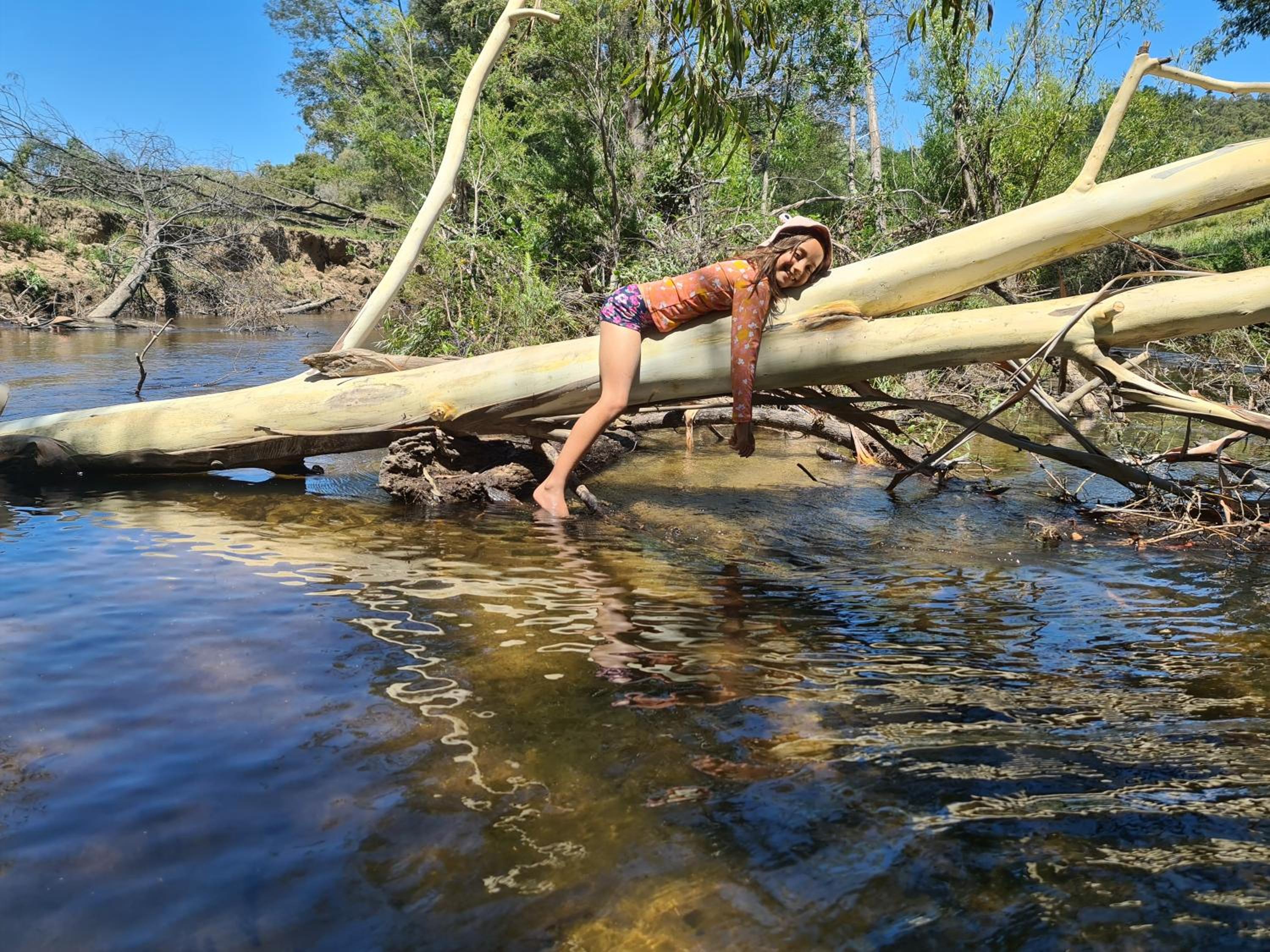 The Hammock