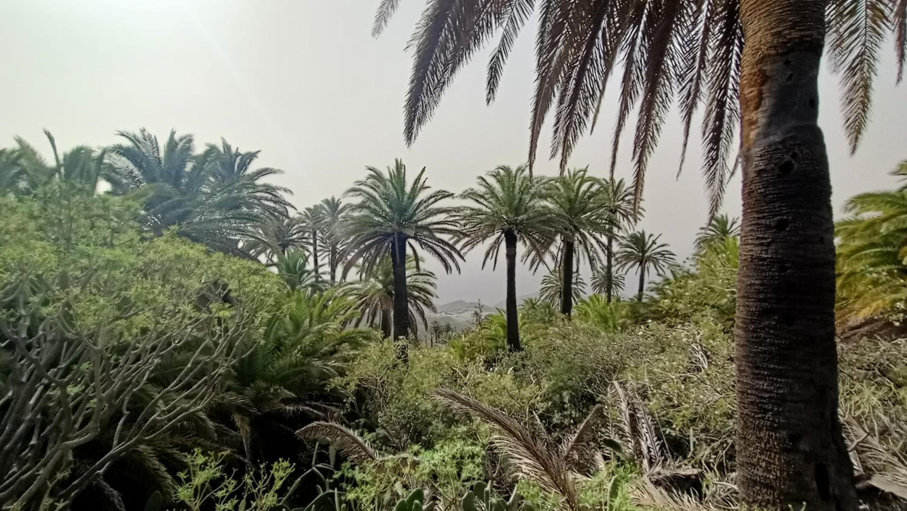 alquilaencanarias Casa La Playa La Gomera