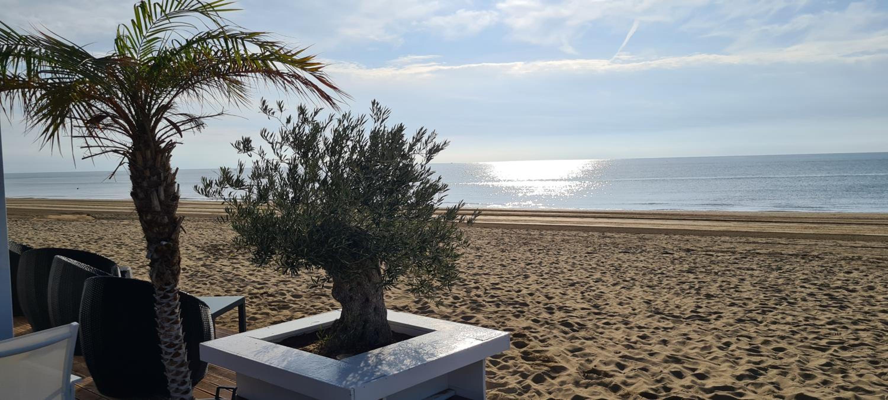 Adria Beach Apartment