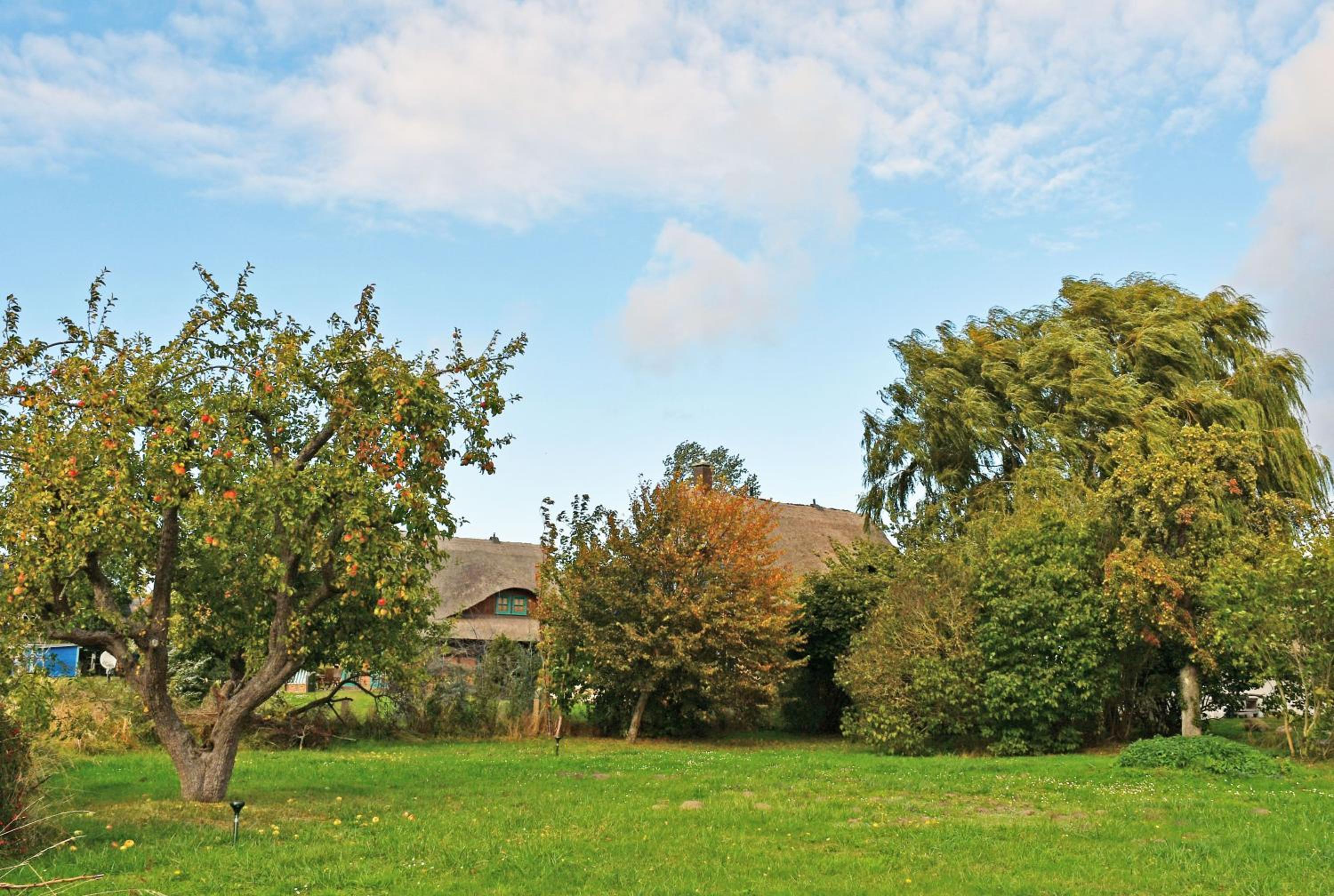 NEU angeboten Mönchguter Ferienhaus u Reetdach mit Kamin