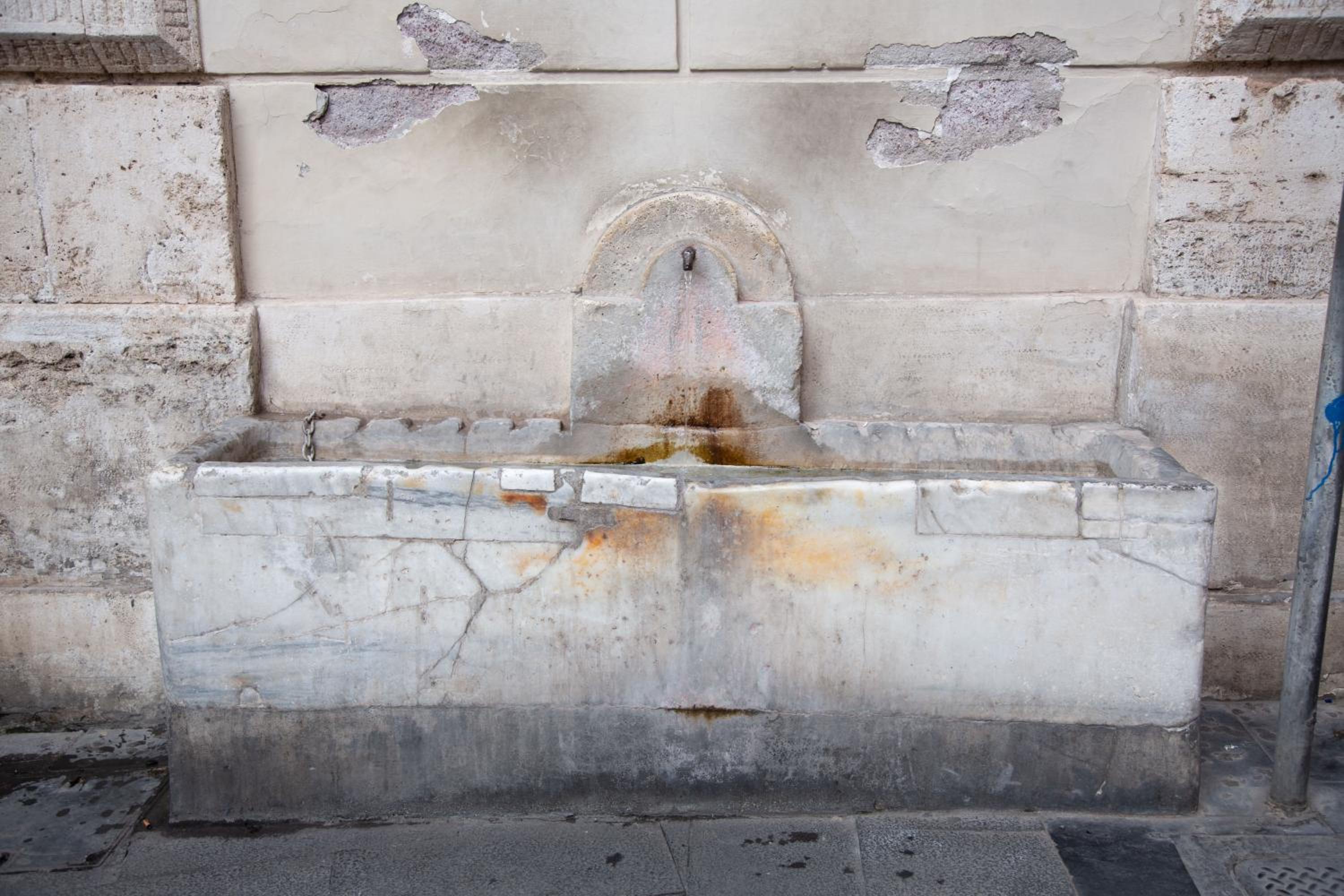 Repetita Juvant photo 4