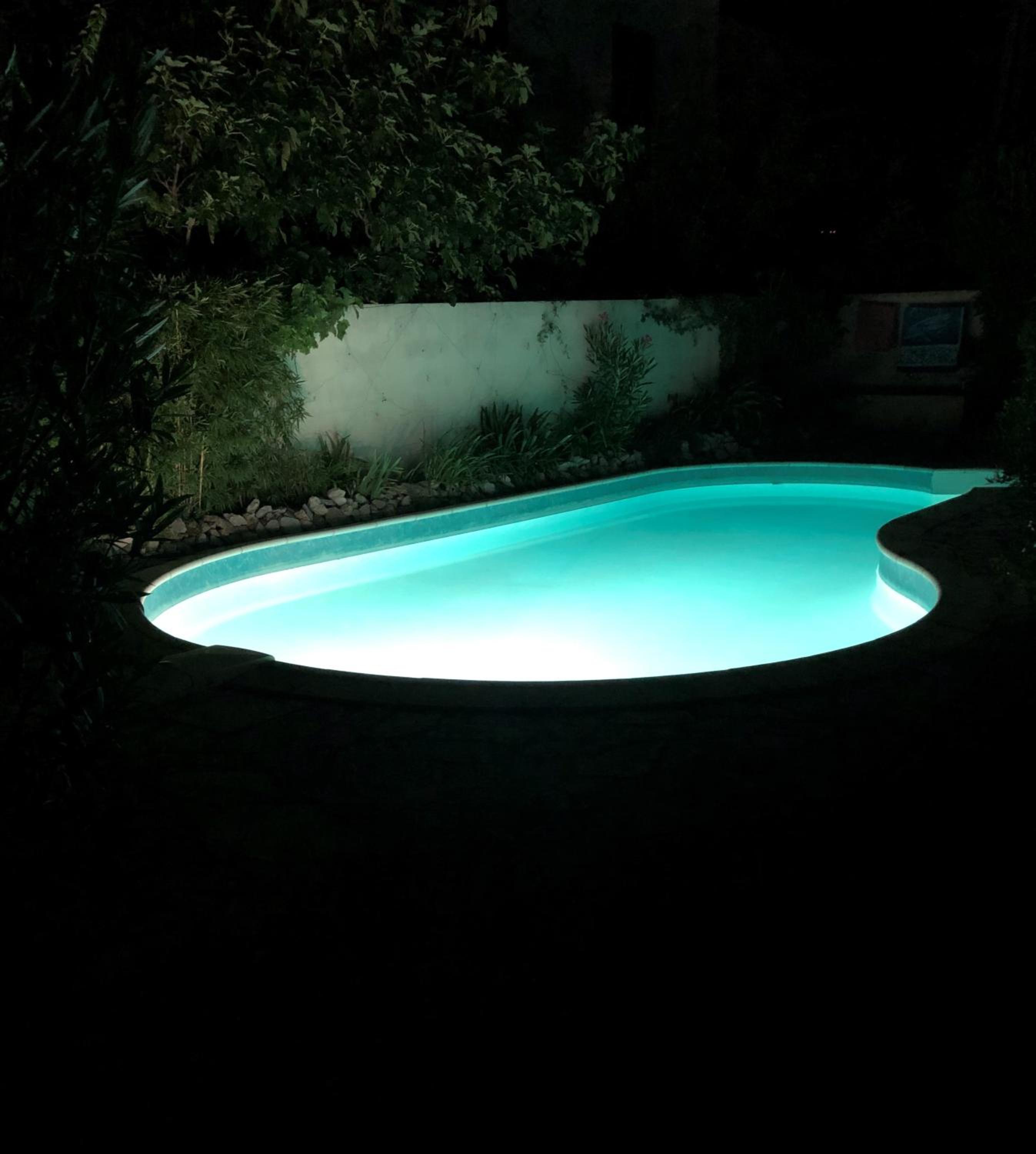 Apartment pool few steps from beach green