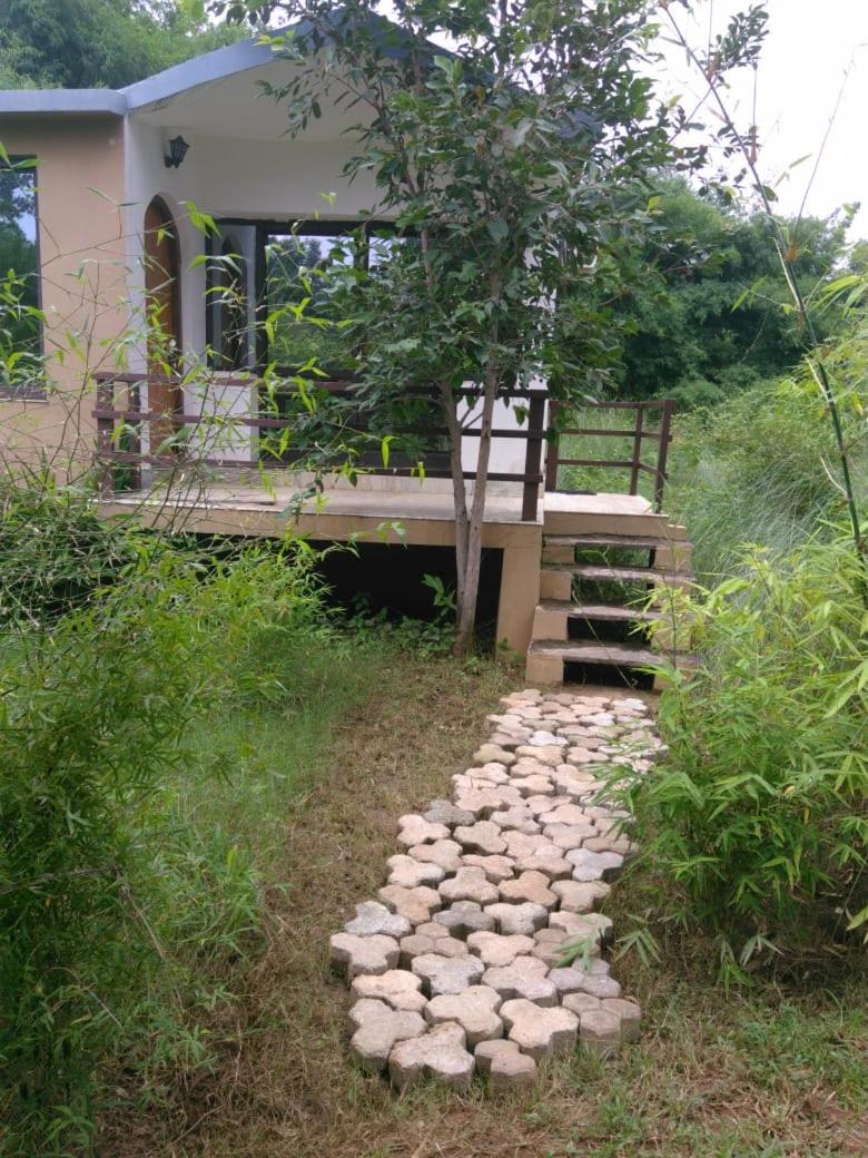 Bananchal farms