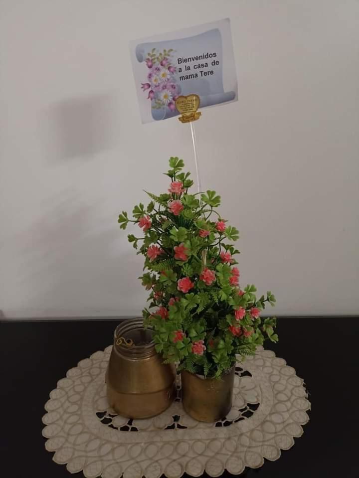 La Casa de Mamá Tere