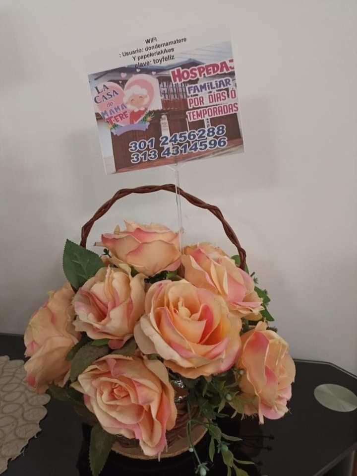 La Casa de Mamá Tere