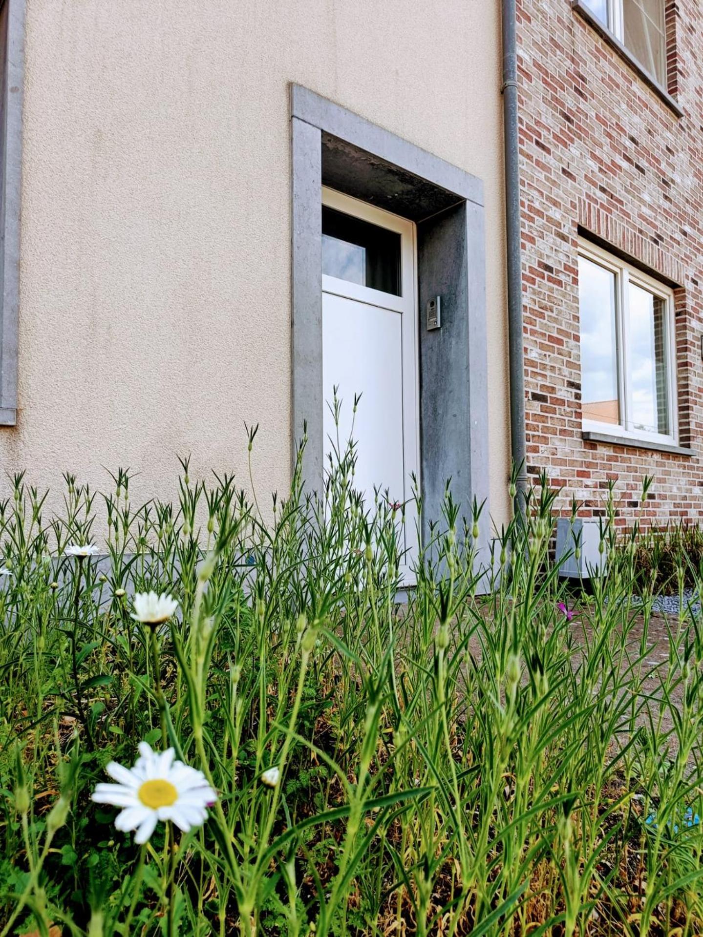 Casa Roman - nieuwe vakantiewoning - Deluxe 4p - Relax 4p - Comfort 4p -- ---Cosy 2p