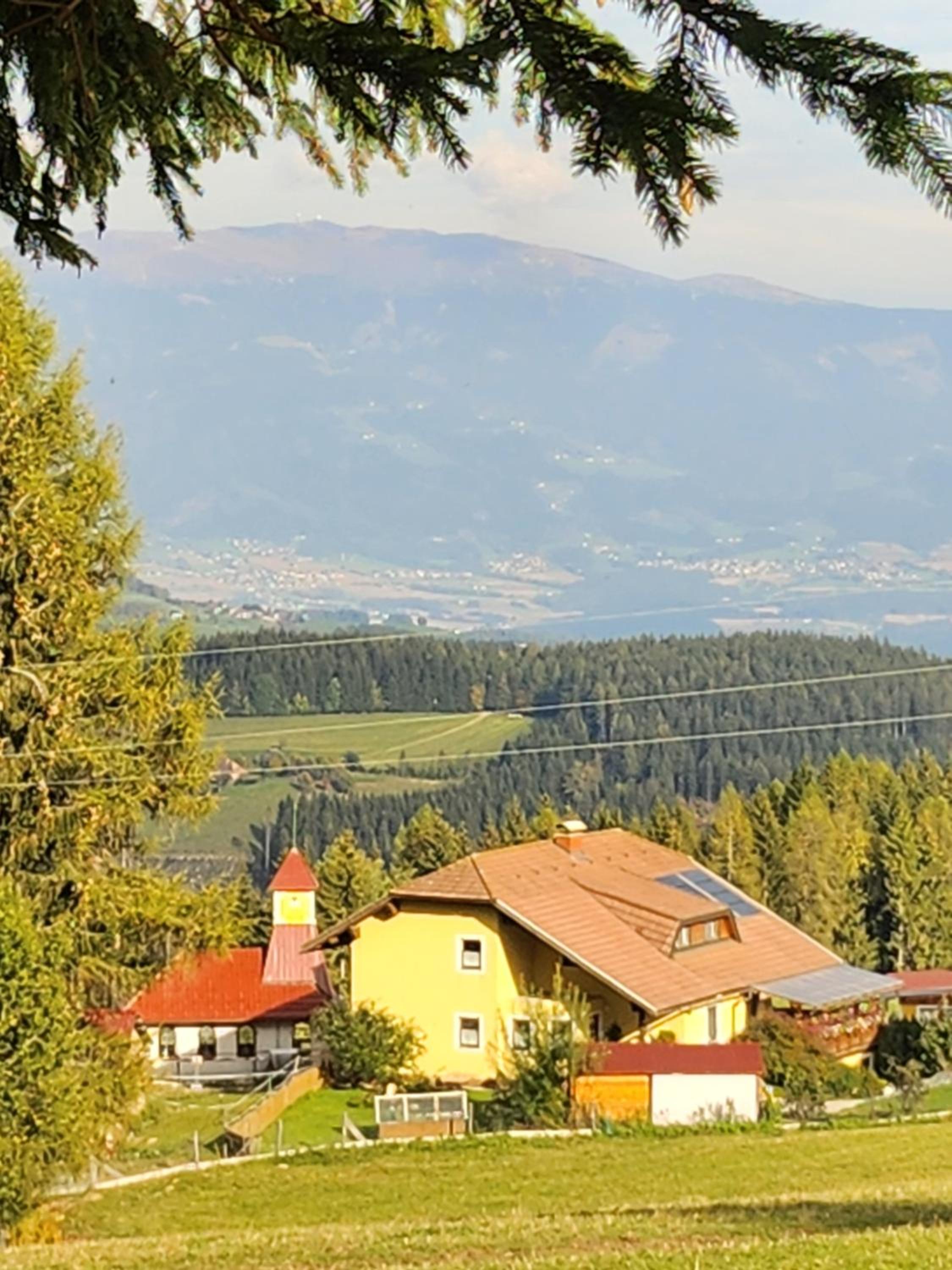 Urige Waldbienenhütte