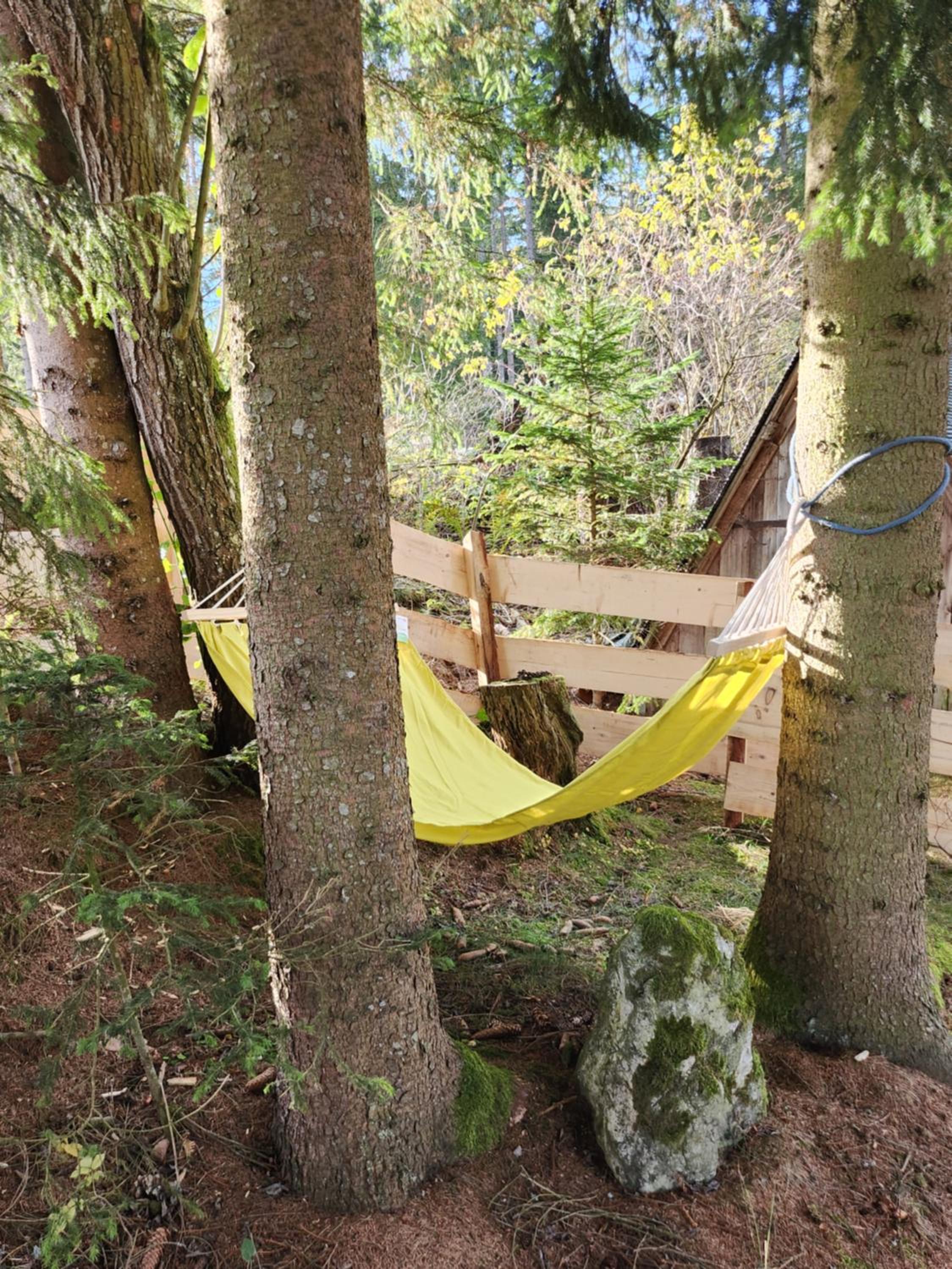 Urige Waldbienenhütte