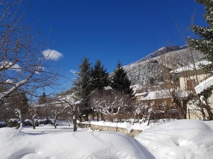 Casa vacanze Daniela