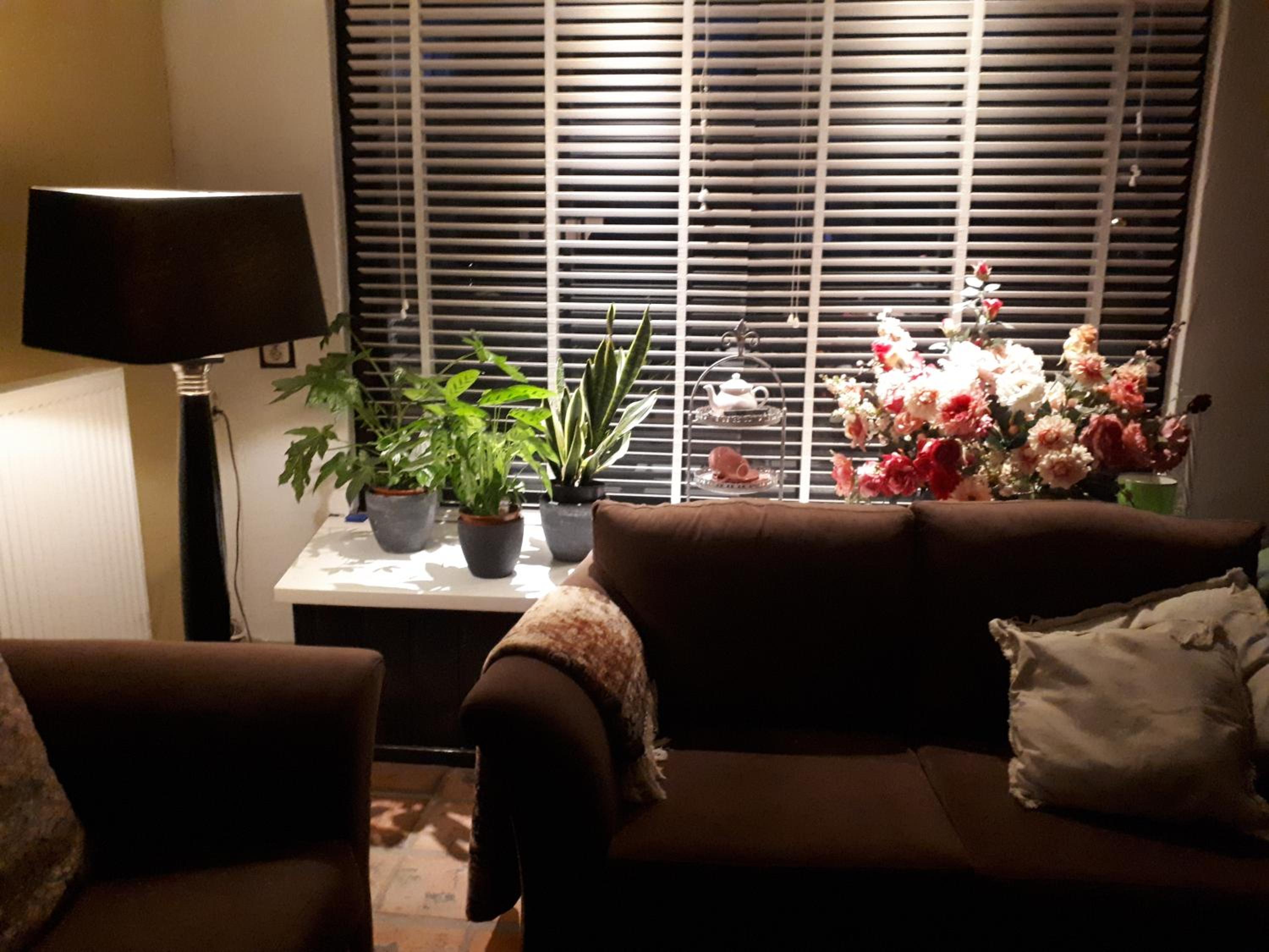 familiehuis Amber view 3