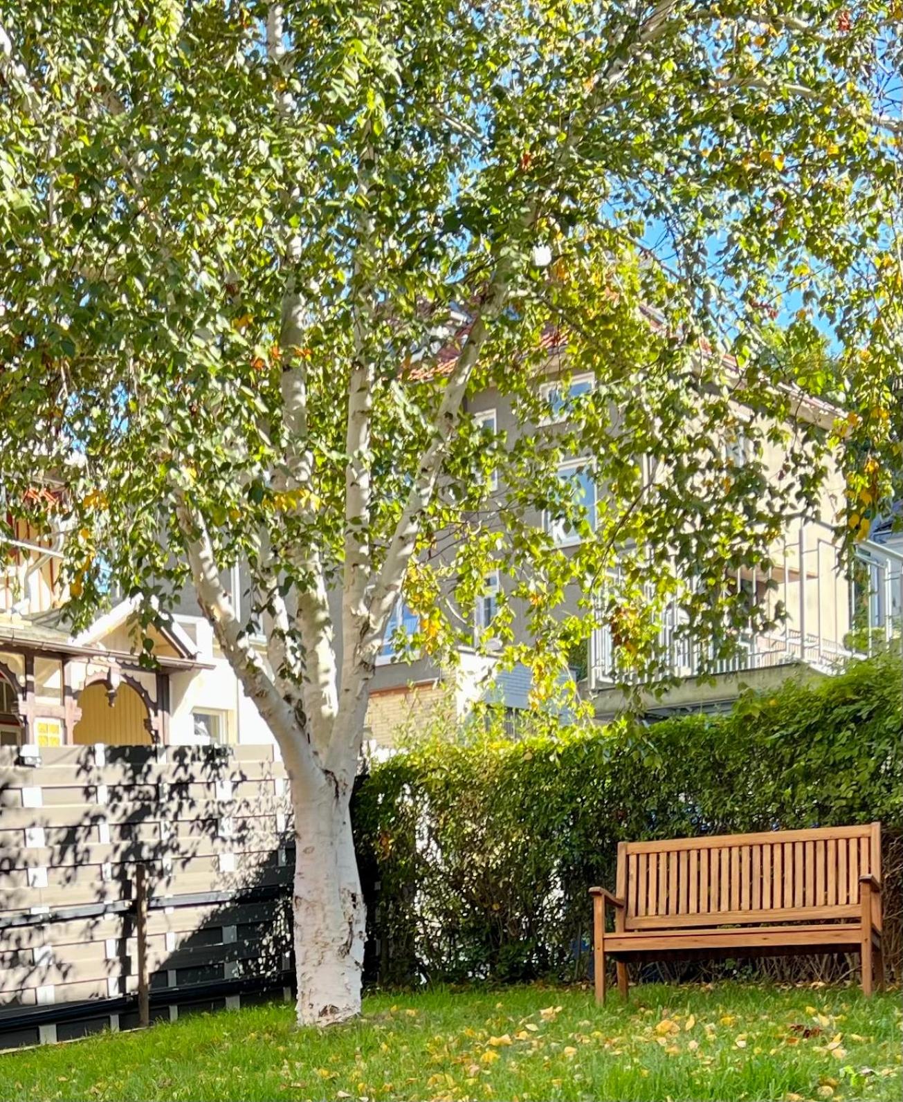 FeWo gemütliche Residenz mit Holzofen-Sauna von Harztraveler