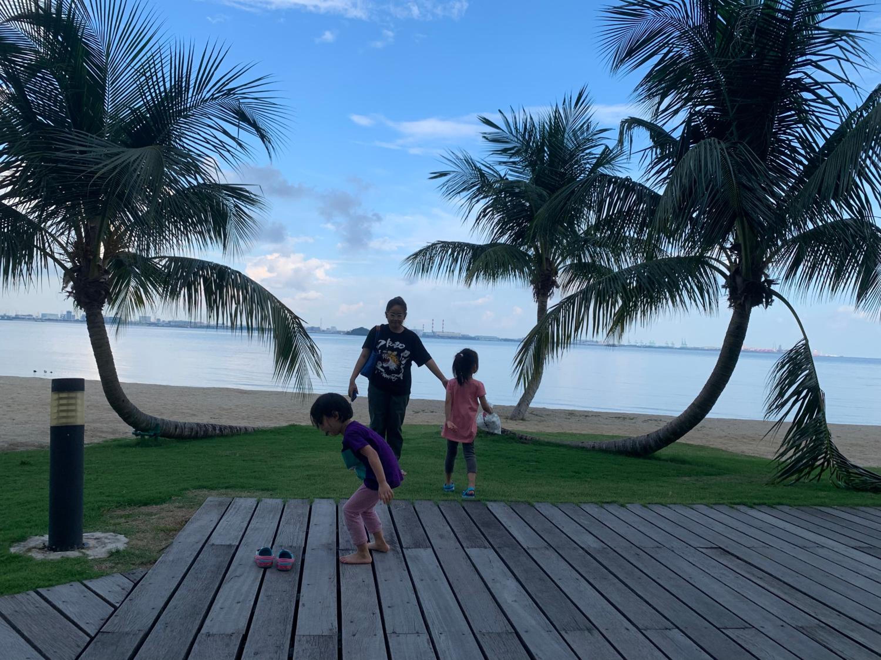Sea view 2 bedroom Fully furnished Apartment Forest City Starview Bay Johor Malaysia