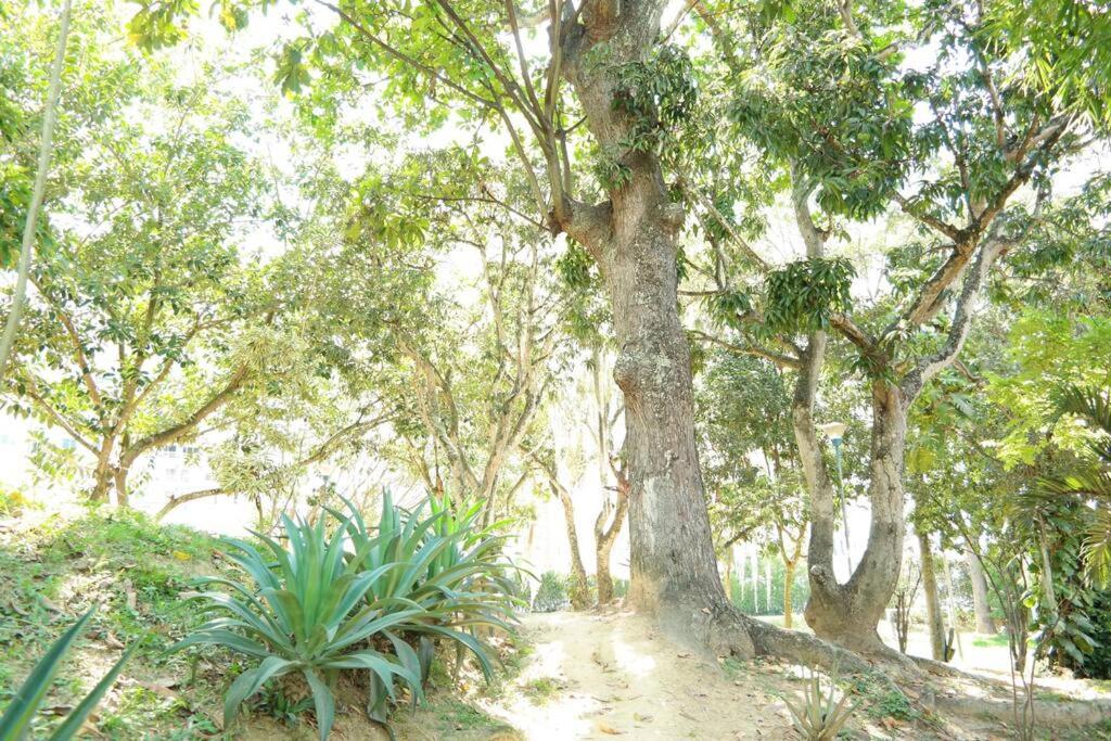 Casa Anillo vía, cerca a CC Cañaveral y Clínica