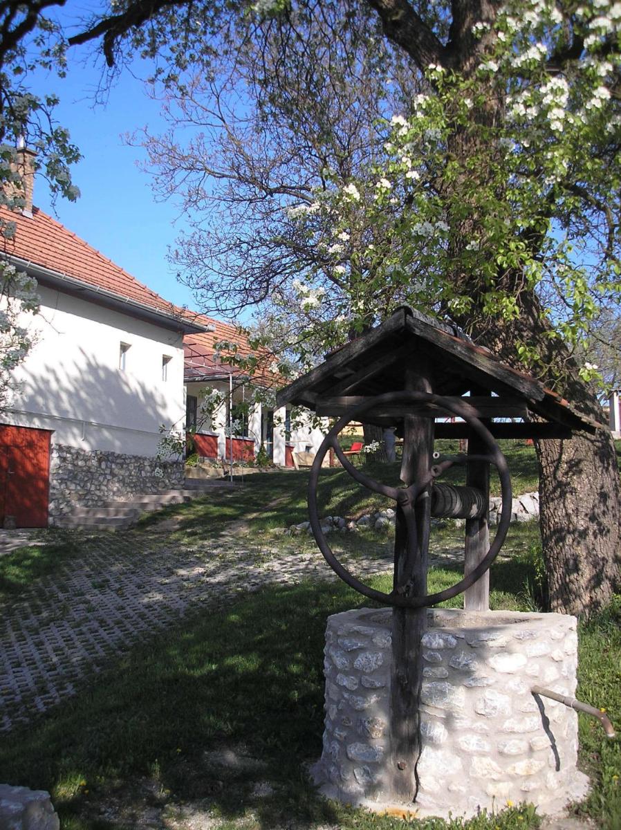 Photo 30
