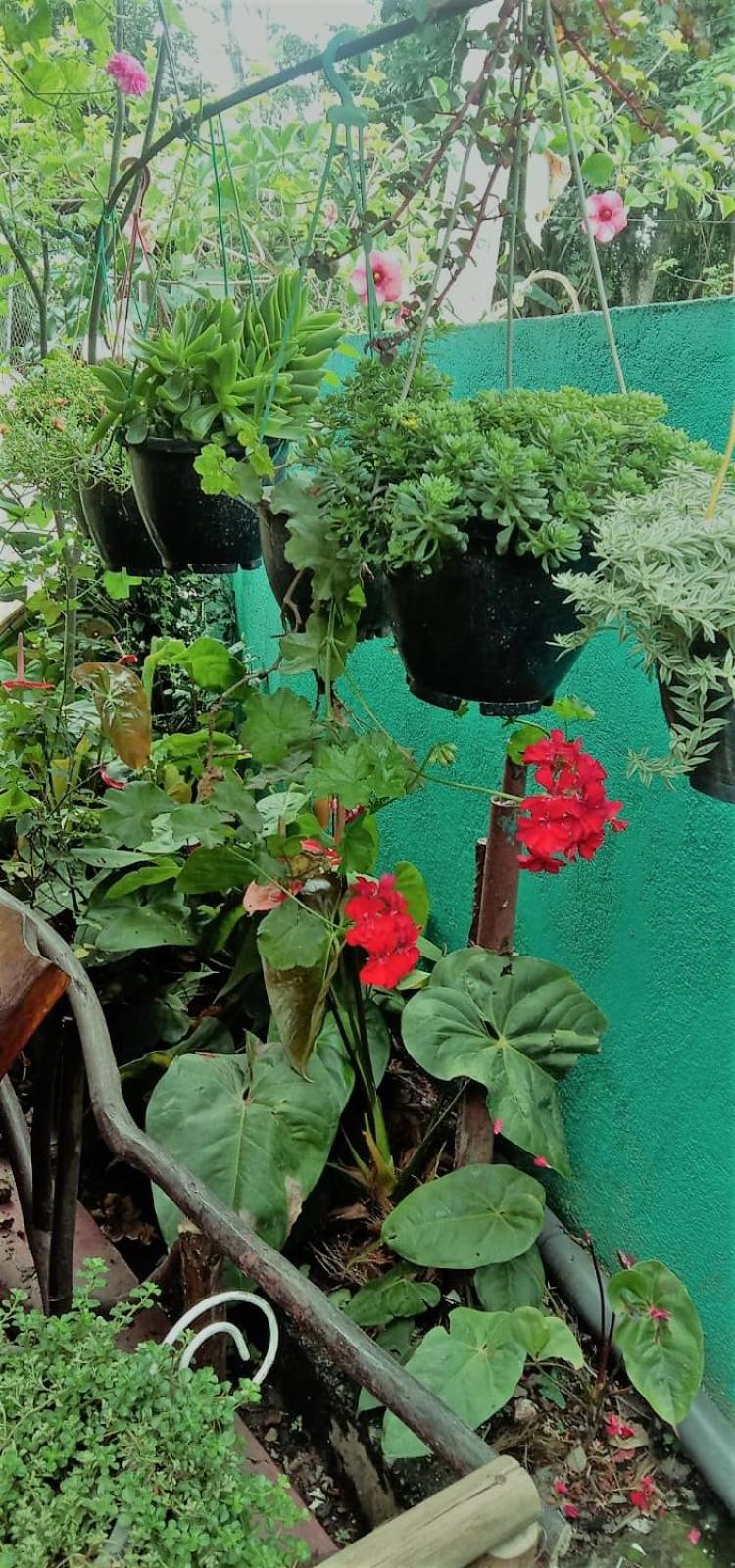 Photo 22