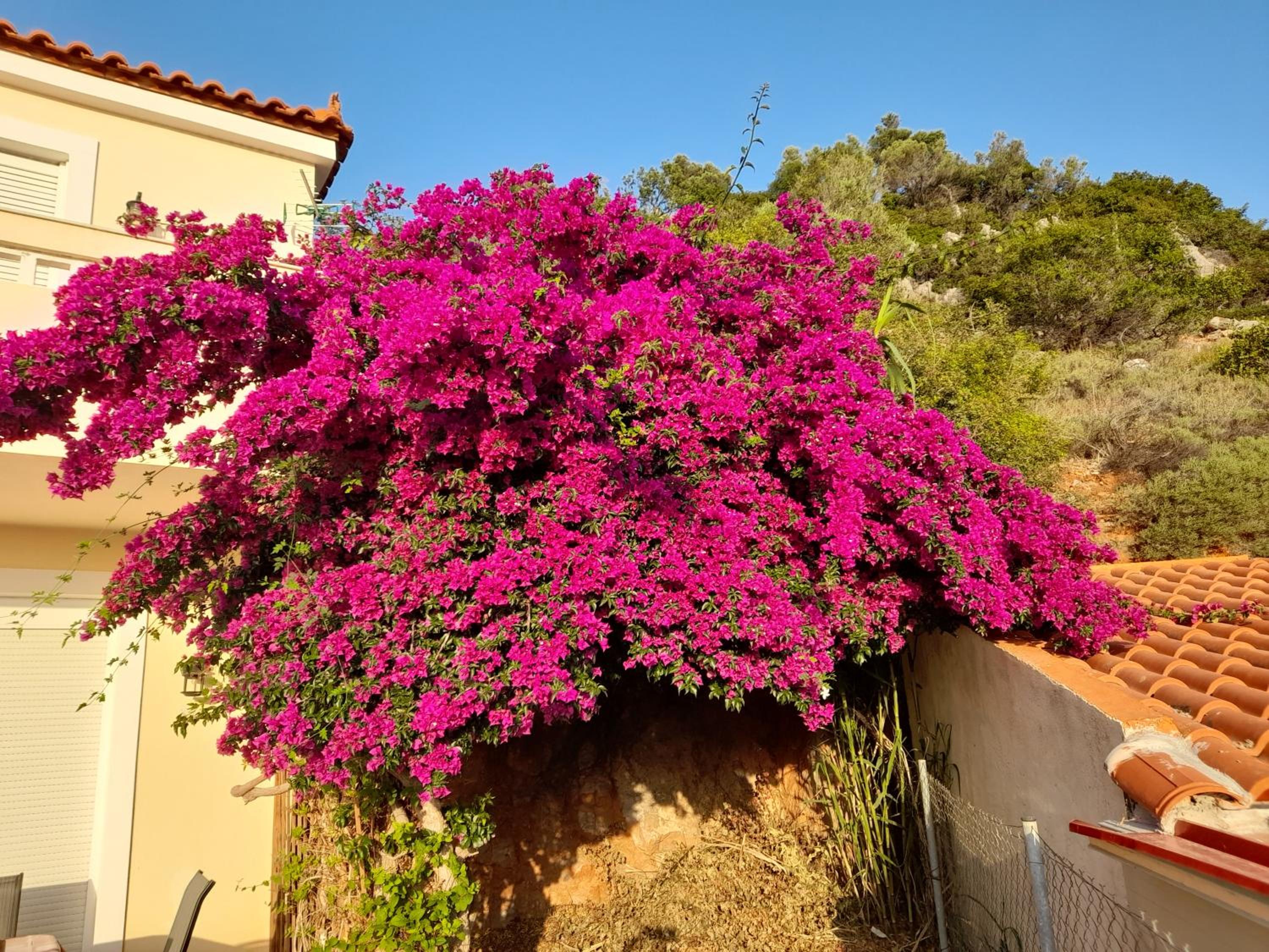Villa Calli view 5