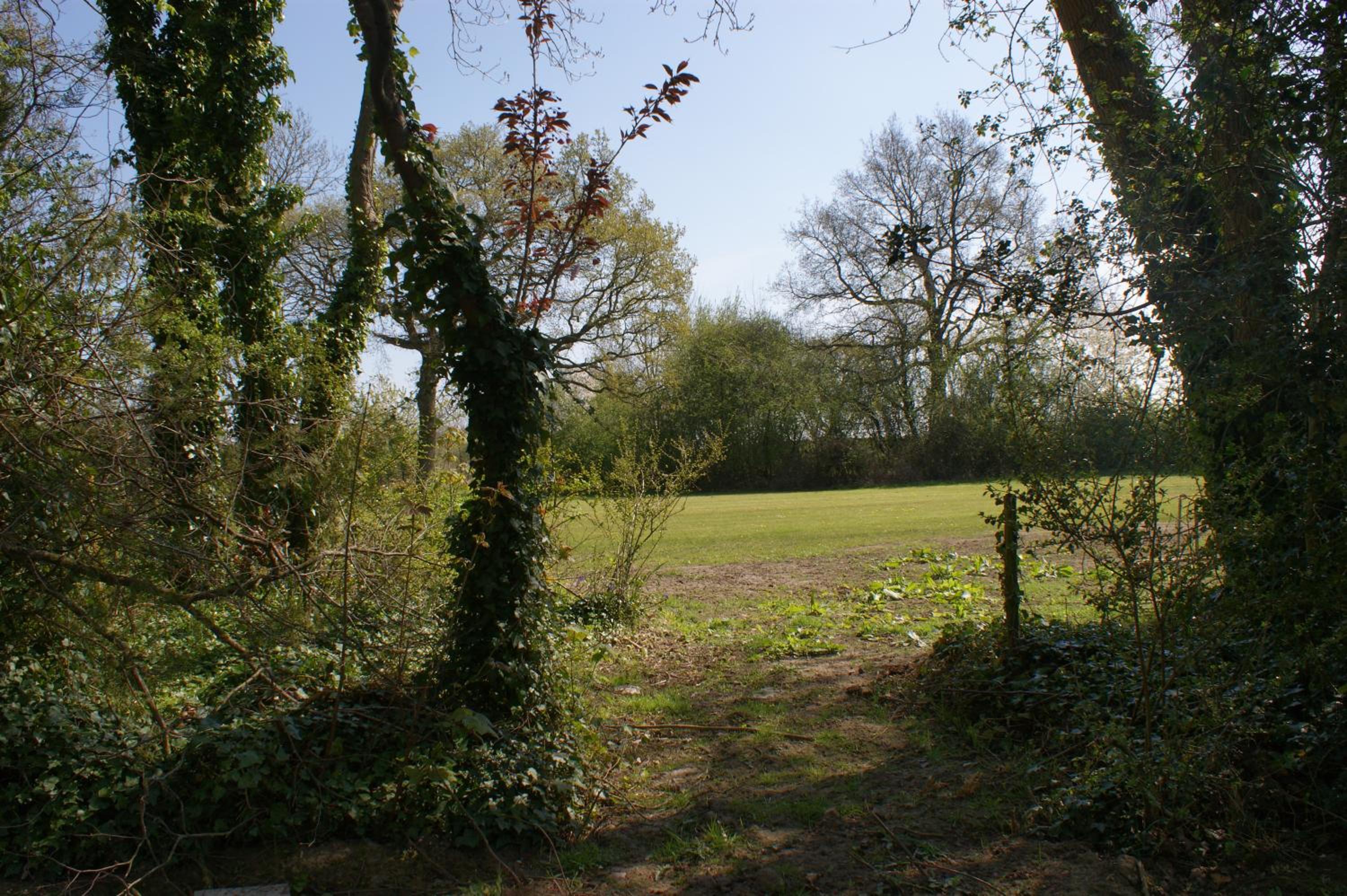 Photo 30