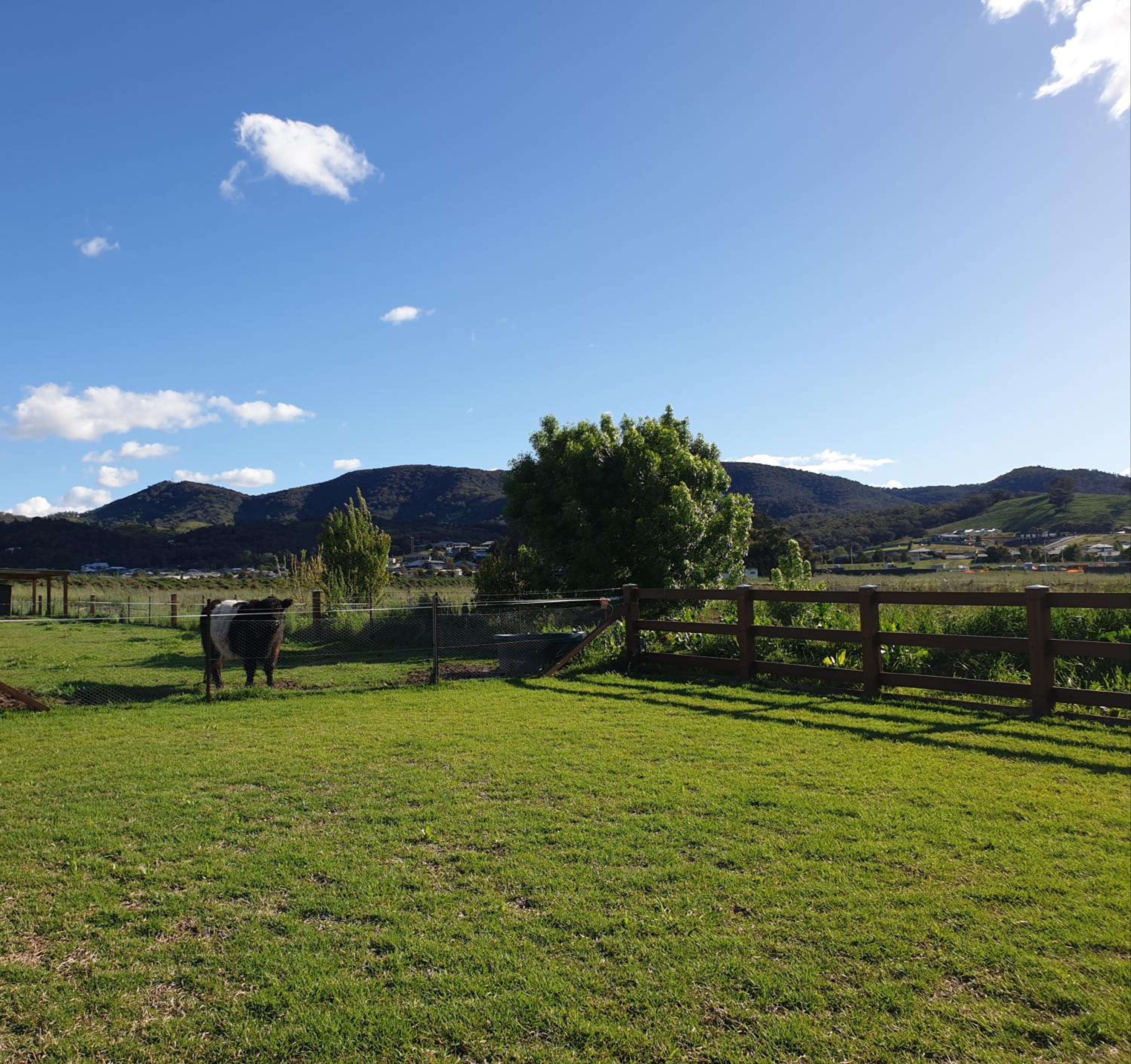 Dangerfield Oaks Boutique Cottage's