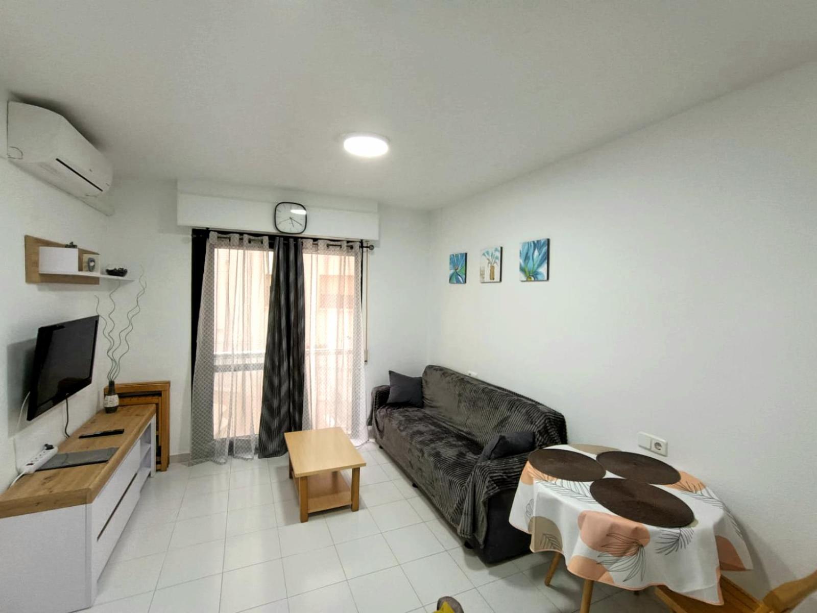 Estudio Gato del mar