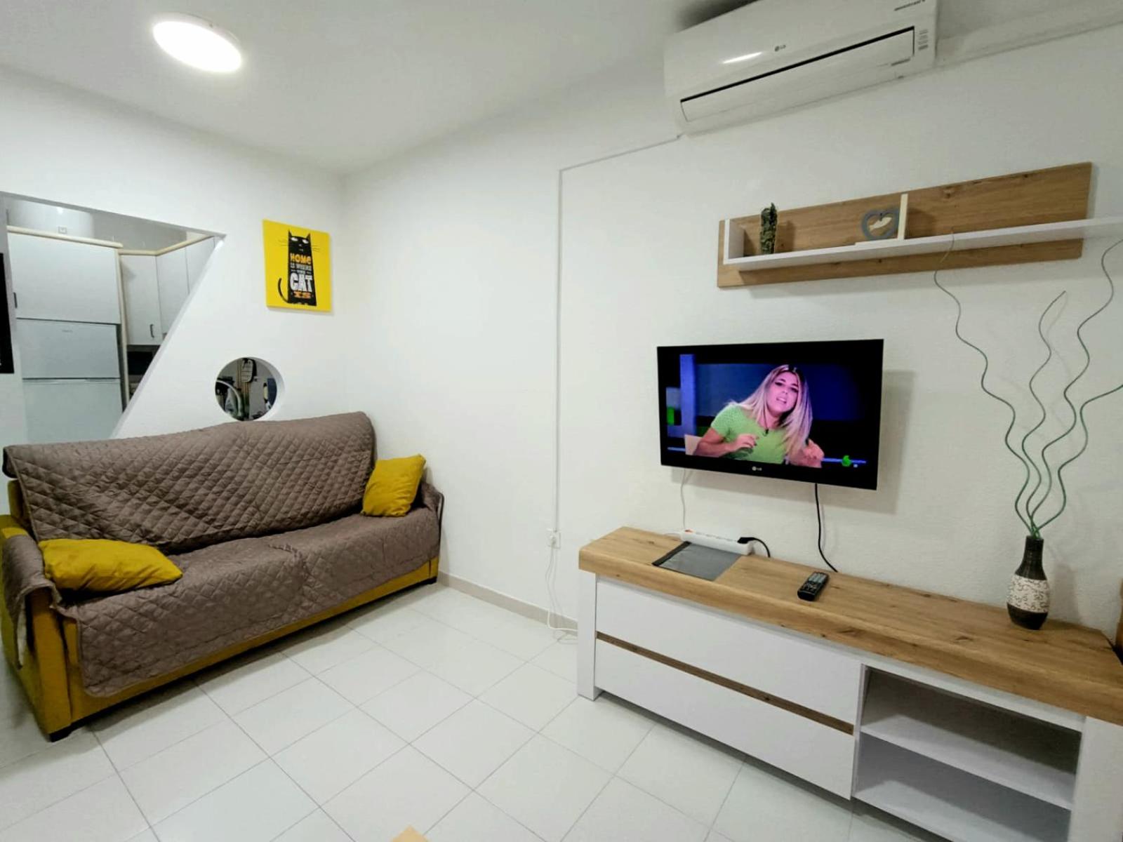 Estudio Gato del mar
