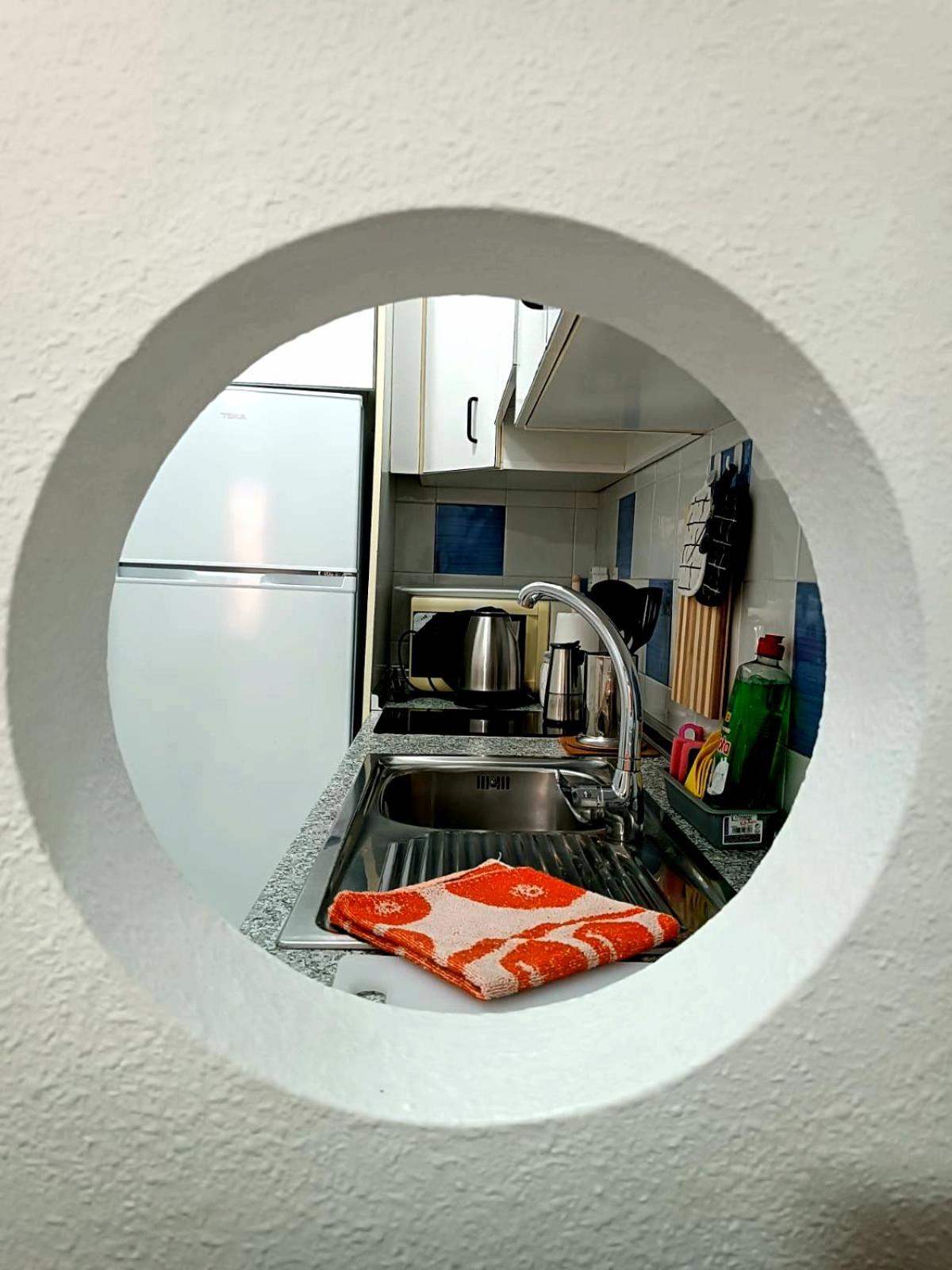 Estudio Gato del mar