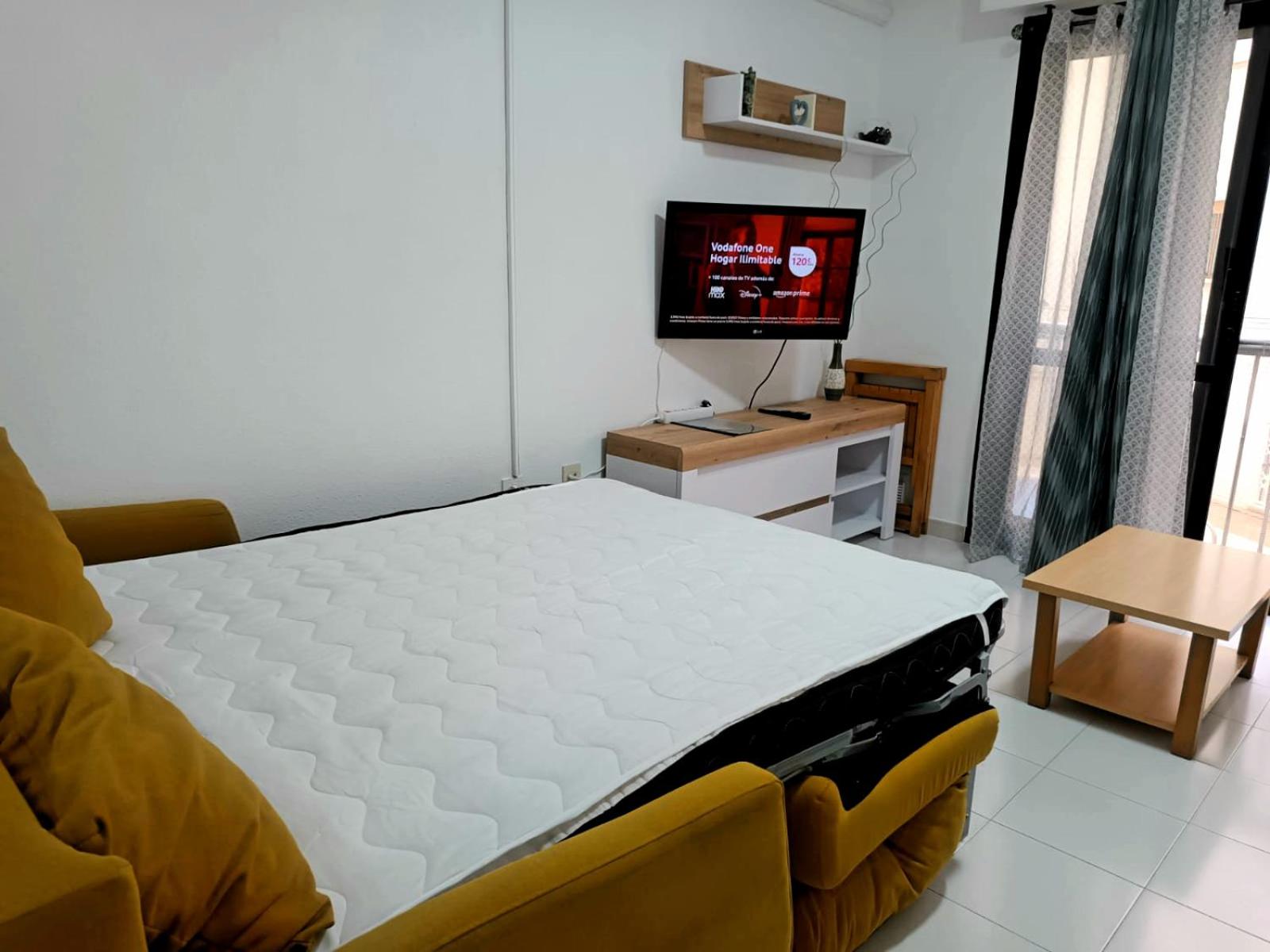 Estudio Gato del mar