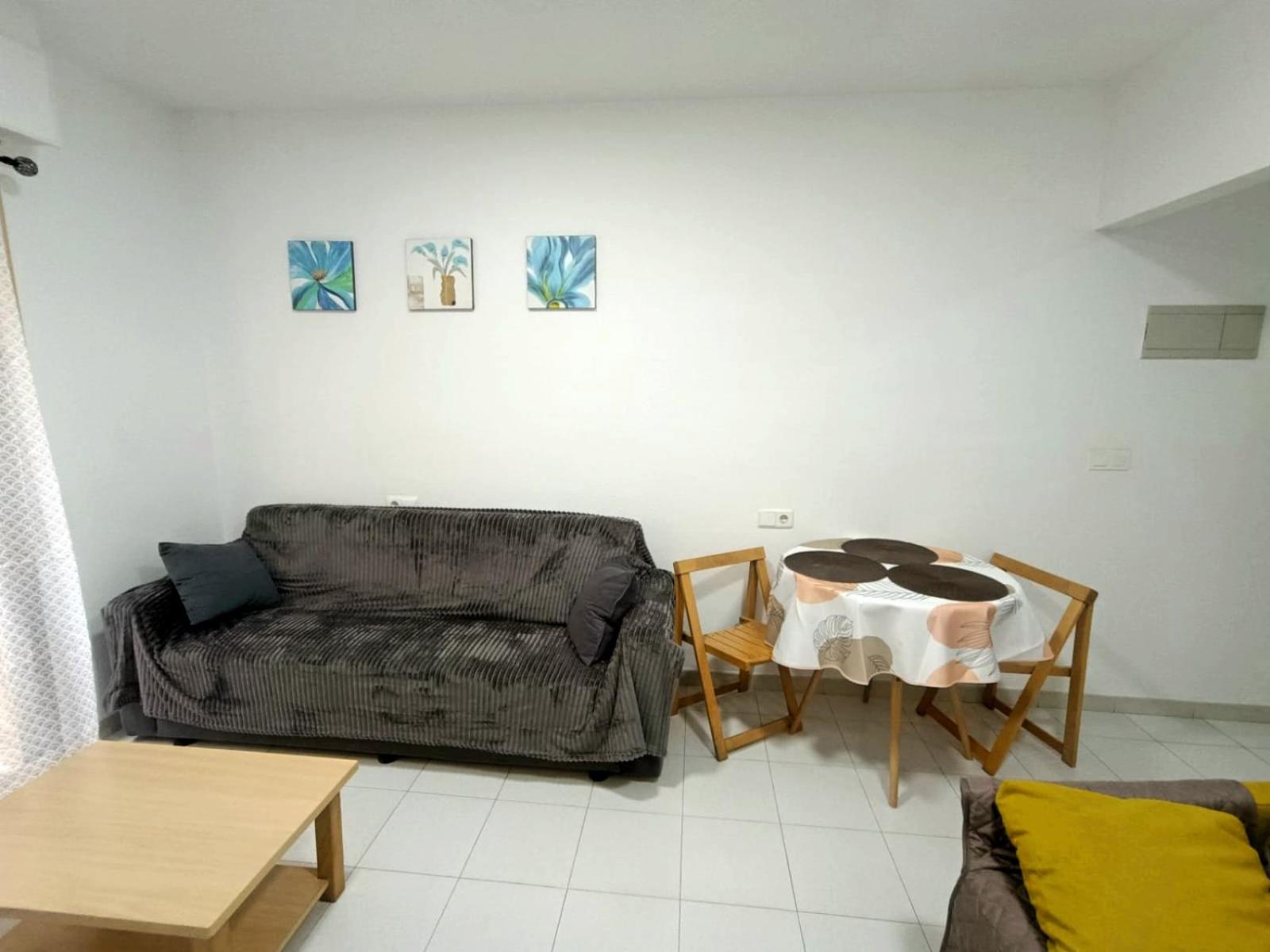 Estudio Gato del mar