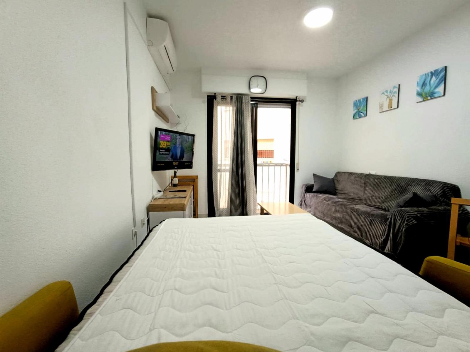 Estudio Gato del mar
