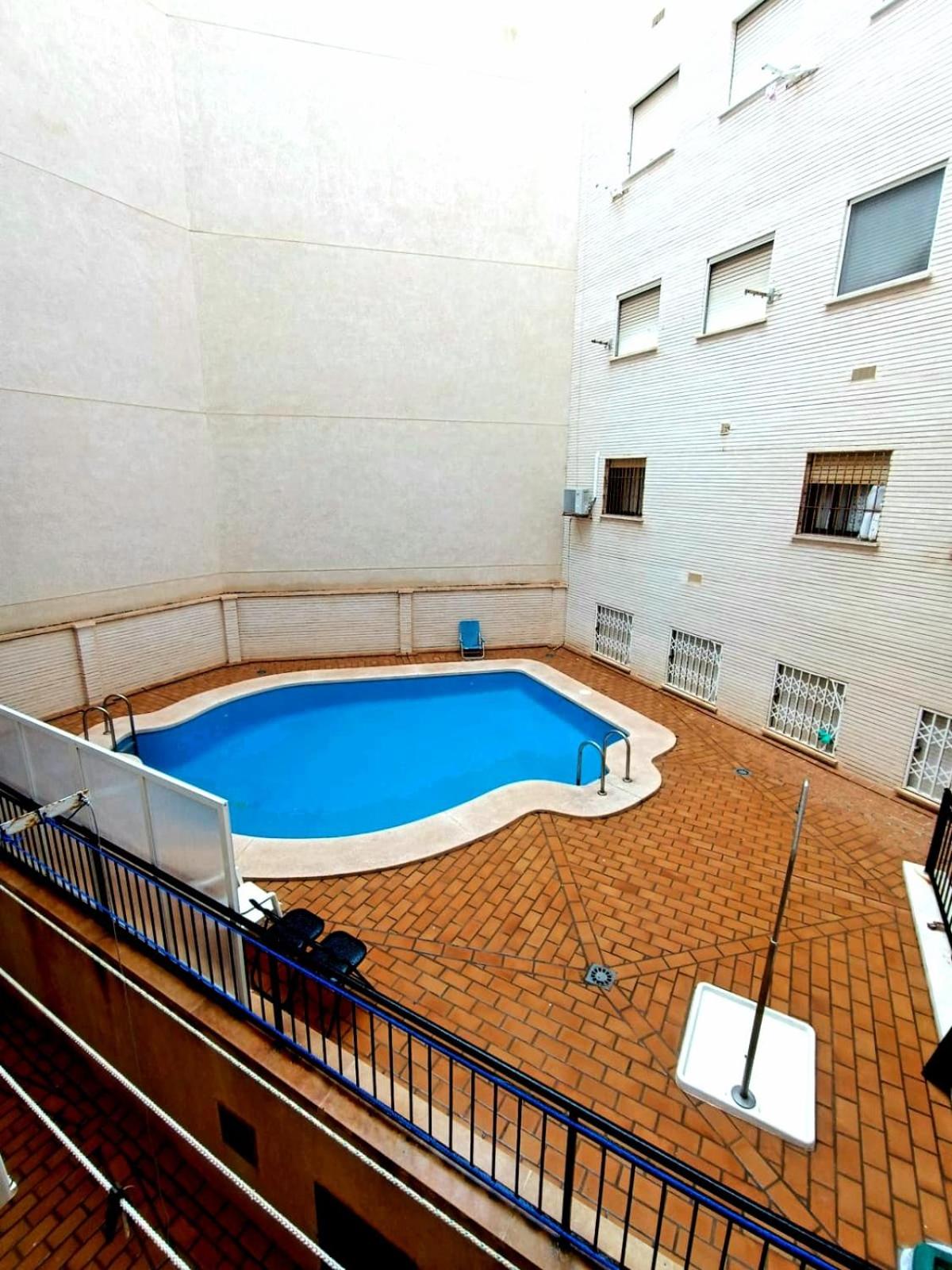Estudio Gato del mar
