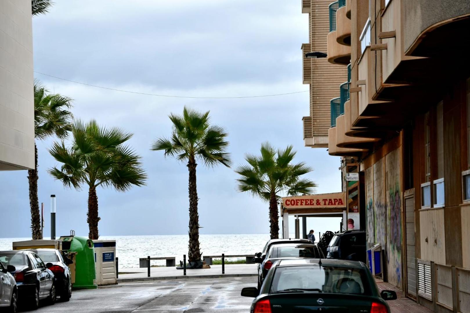 Estudio Gato del mar