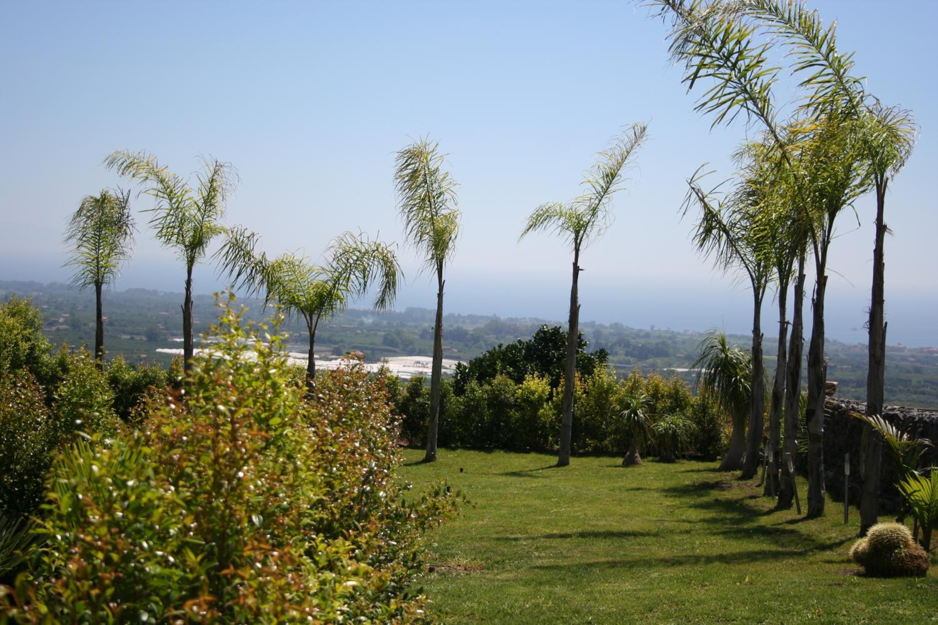 Photo 49