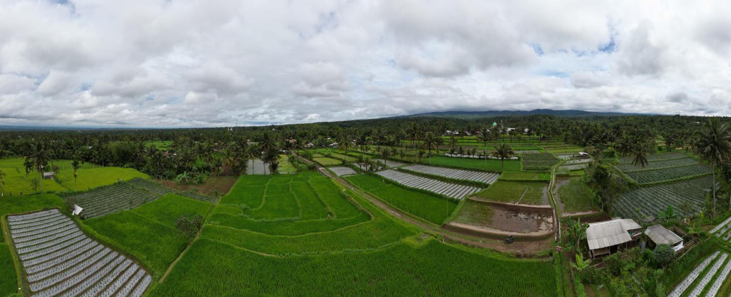 Green Haven Homestay view 2