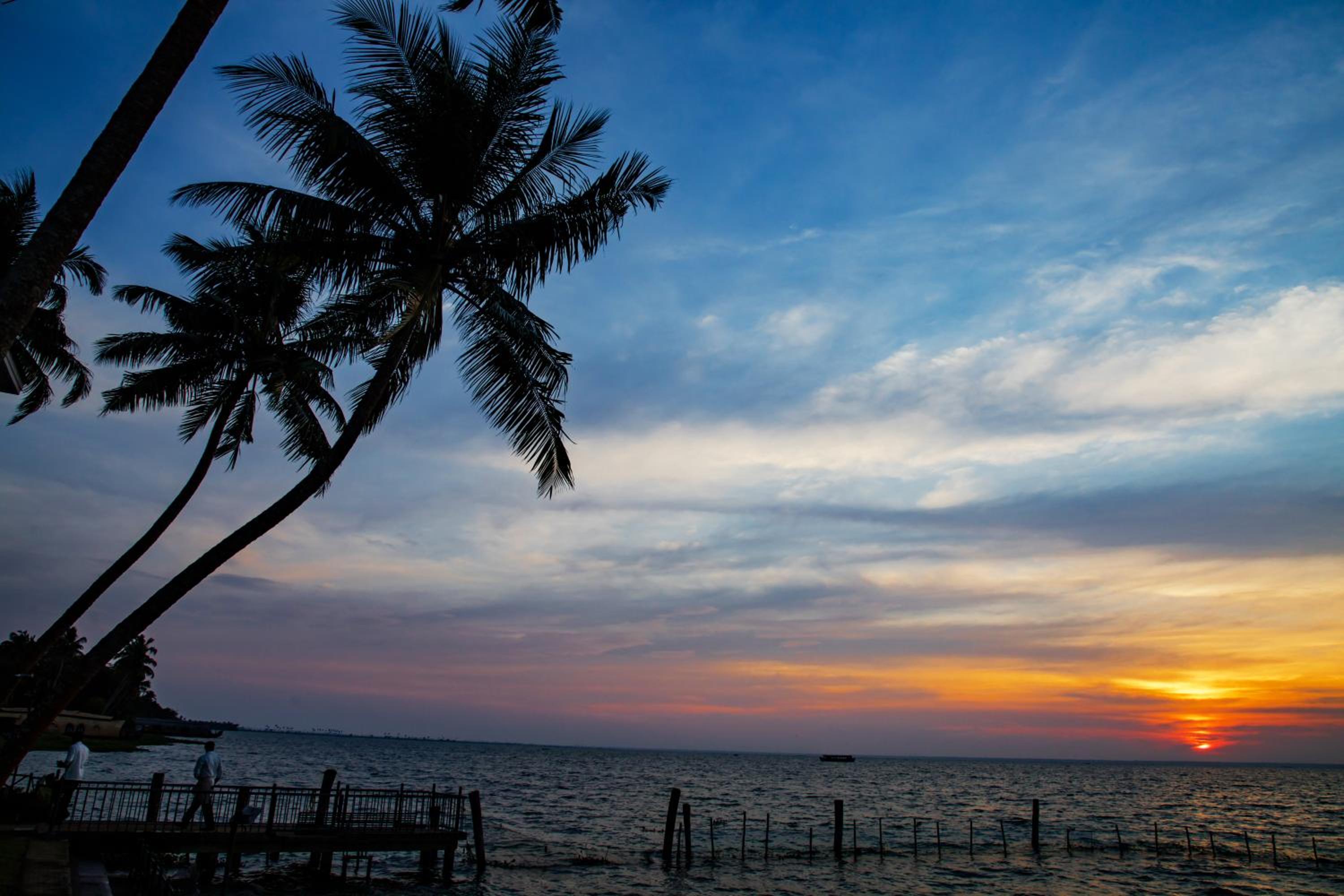 Backwater Ripples Kumarakom