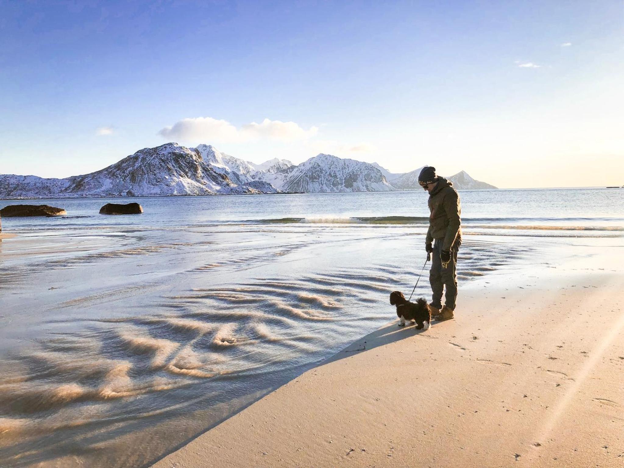 Unik liten leilighet i Stamsund, midt i Lofoten view 3
