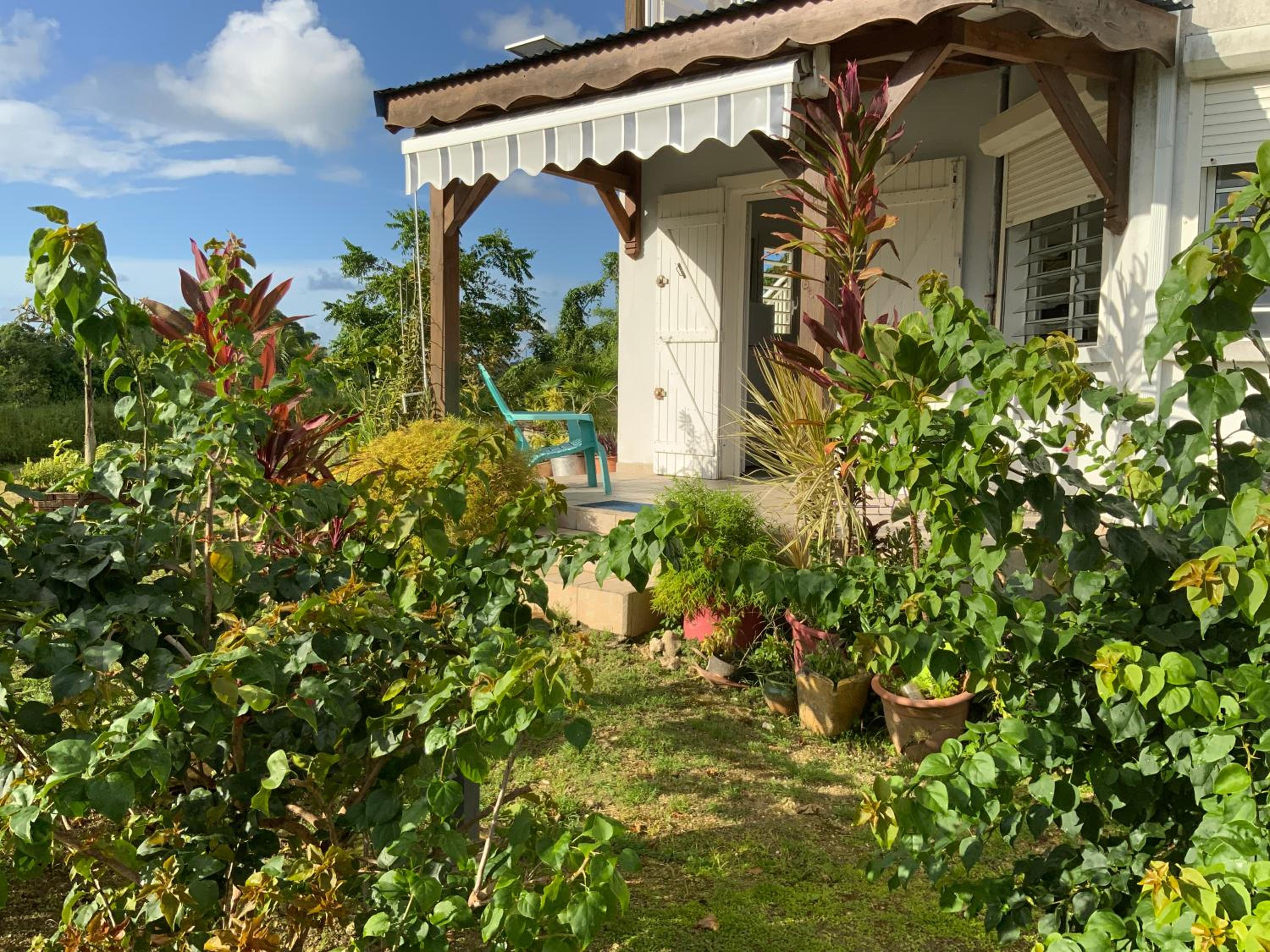 Villa l'Exotik