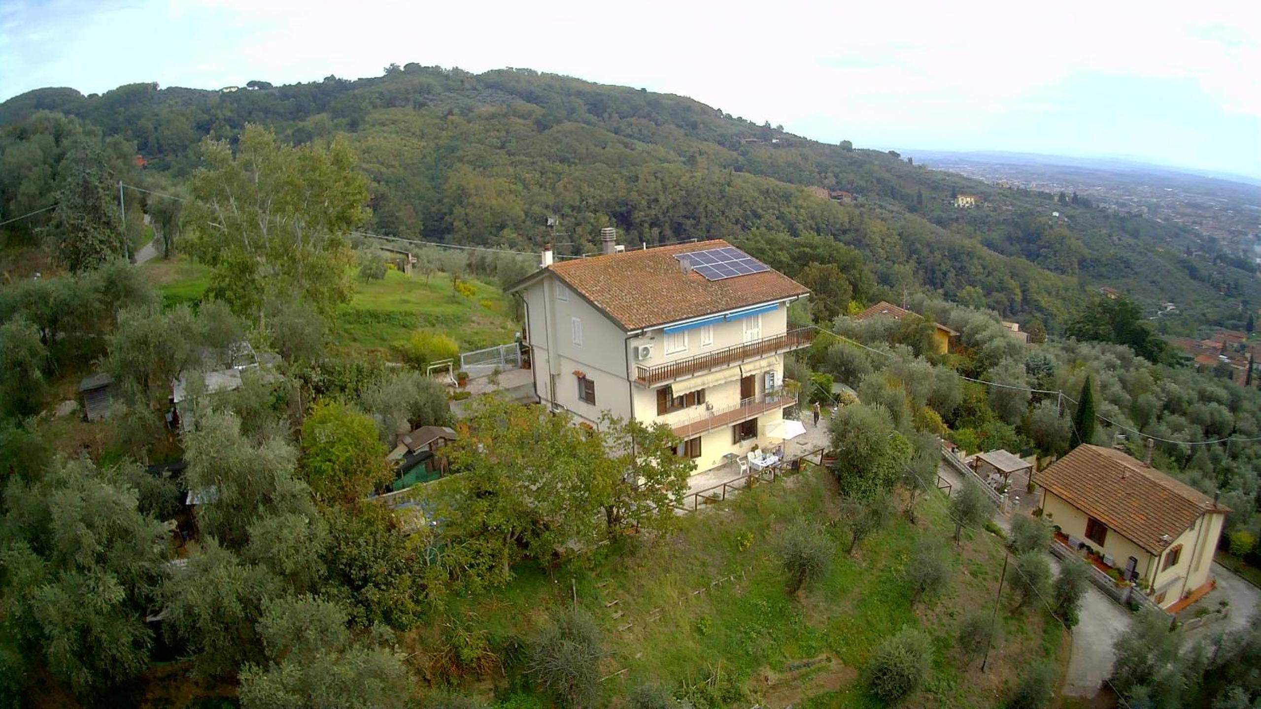 PETTOCANNELLA photo 2