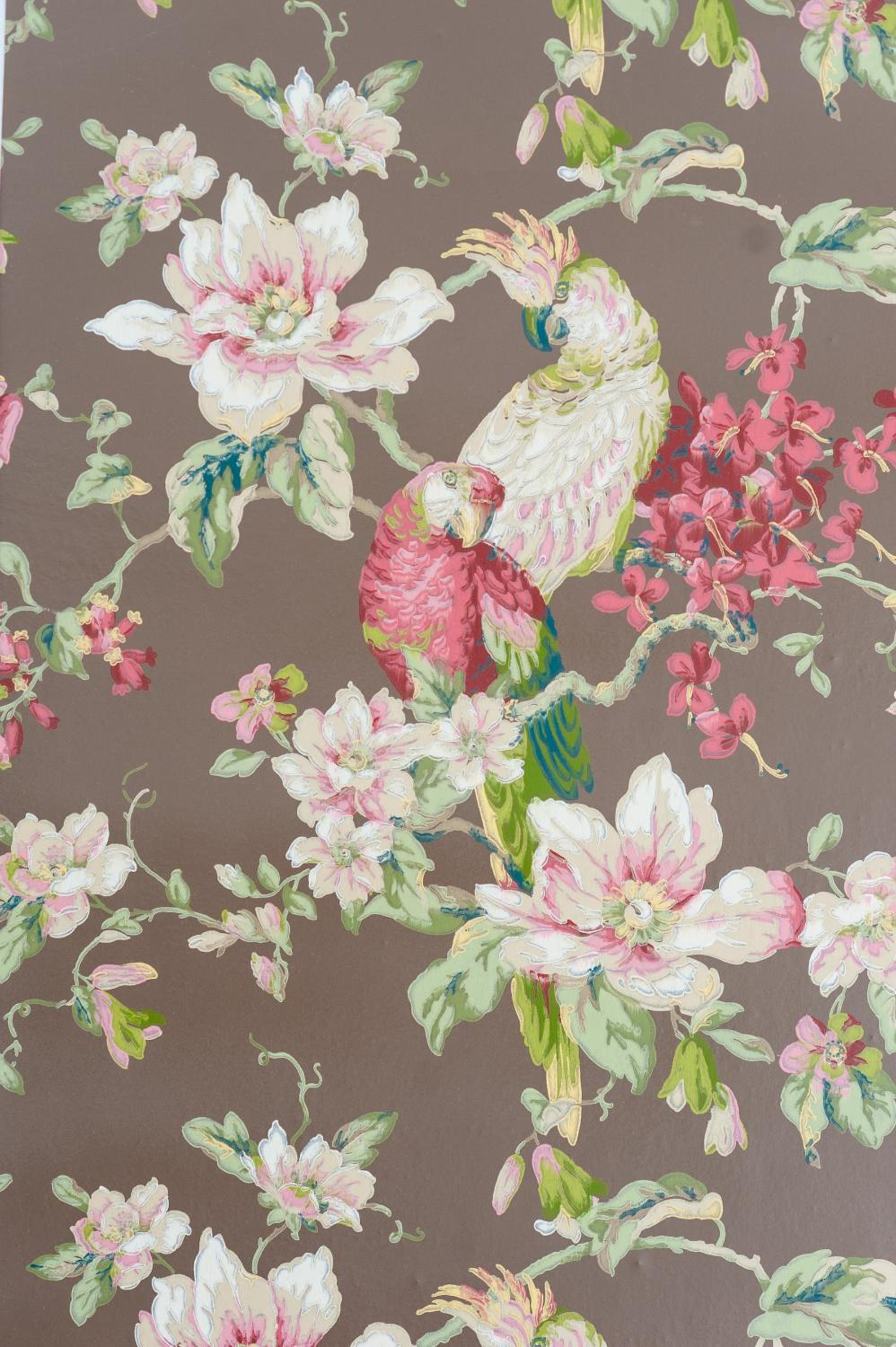 Photo 81