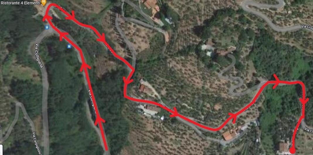 PETTOCANNELLA