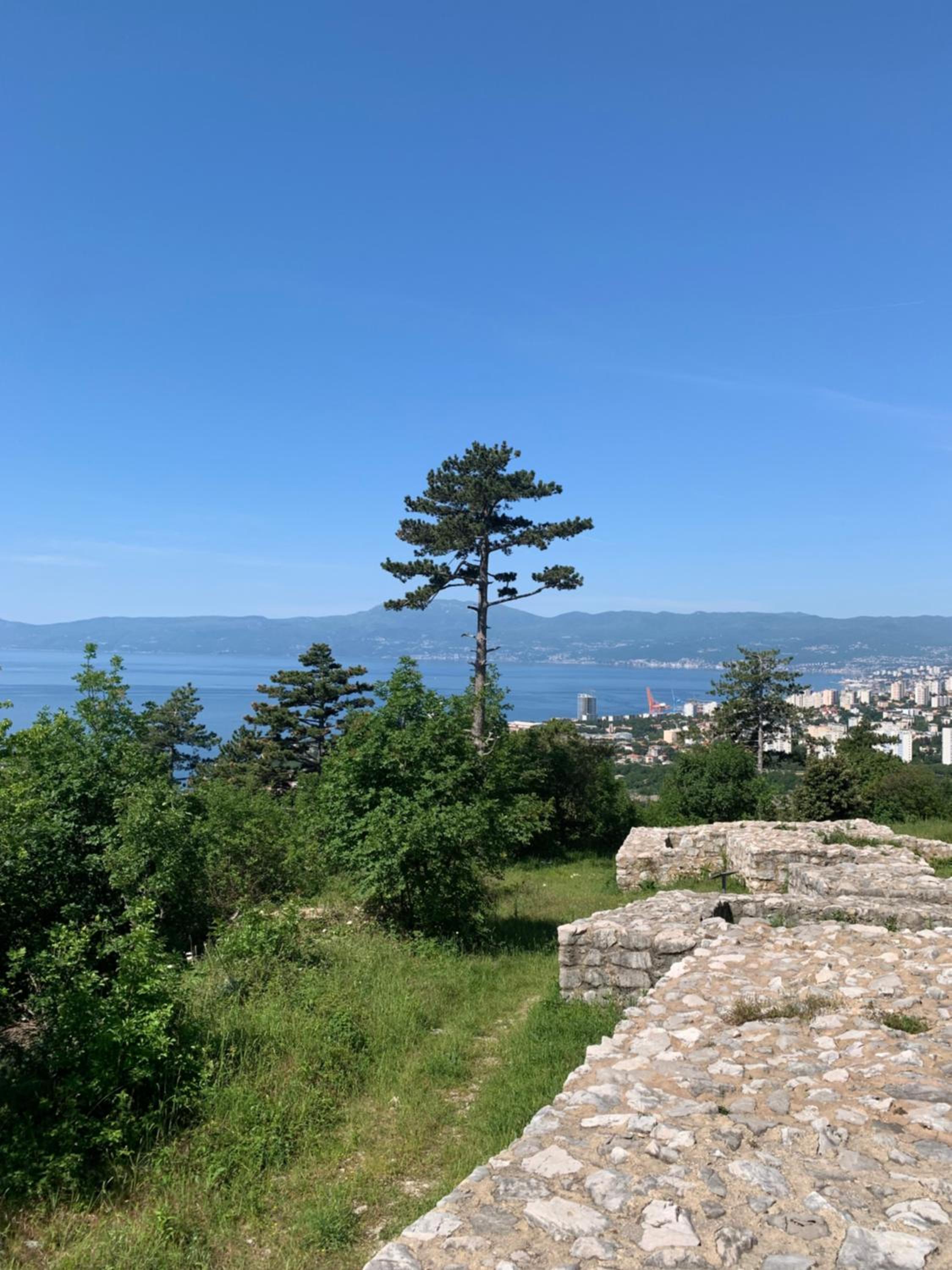 Apartman Nataša view 2