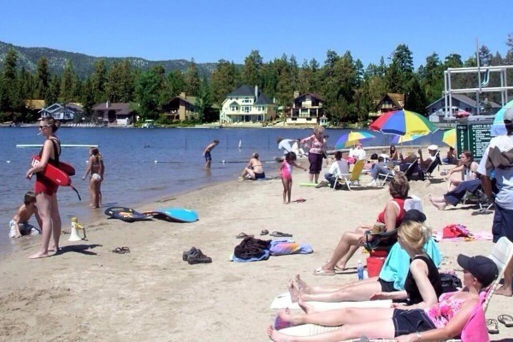 BEAR CABIN GETAWAY!!!(SPA) Pet Friendly Backyard view 4