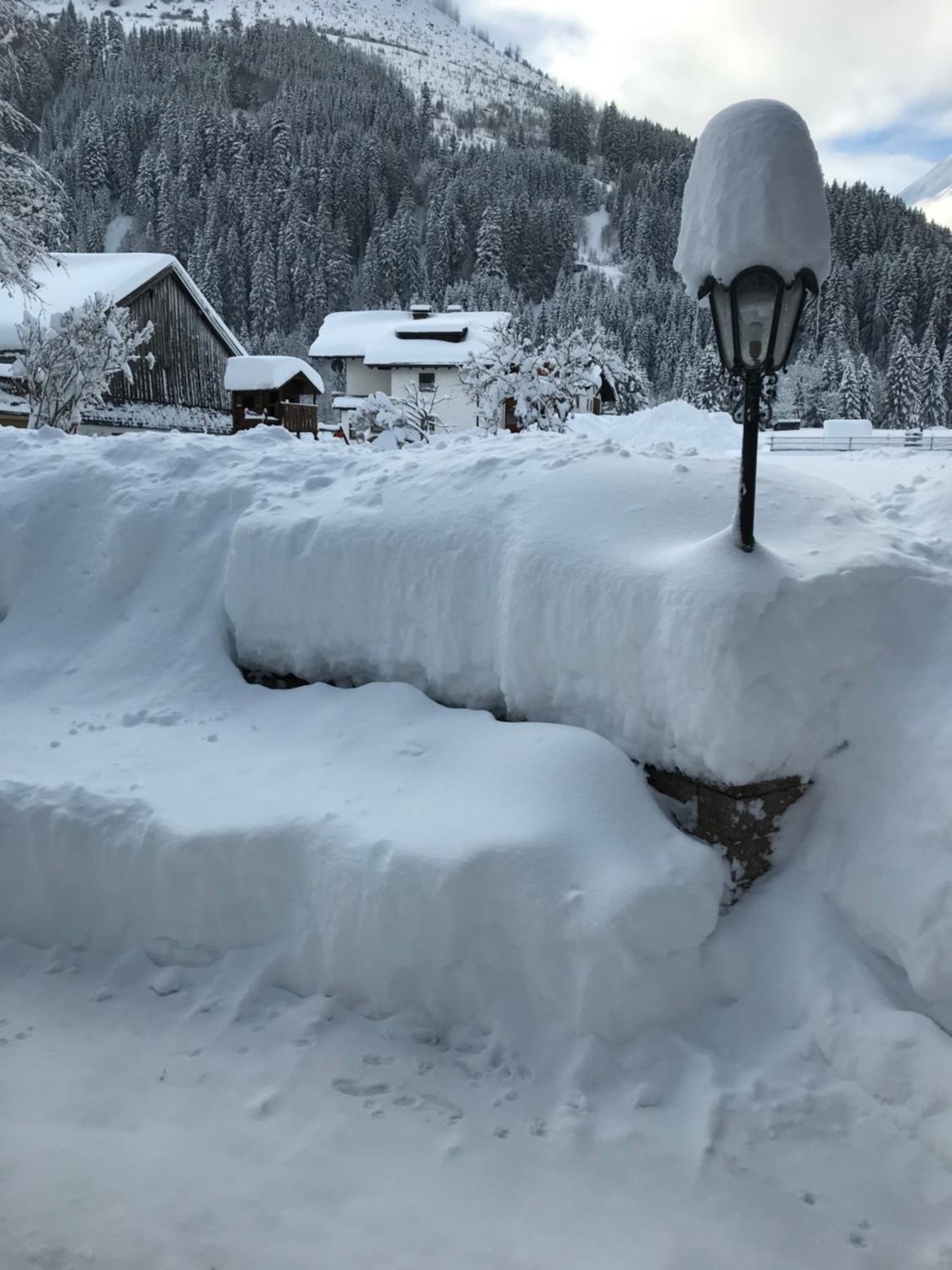 Pony-Ziegen-Hasen-Ranch Bichlbach