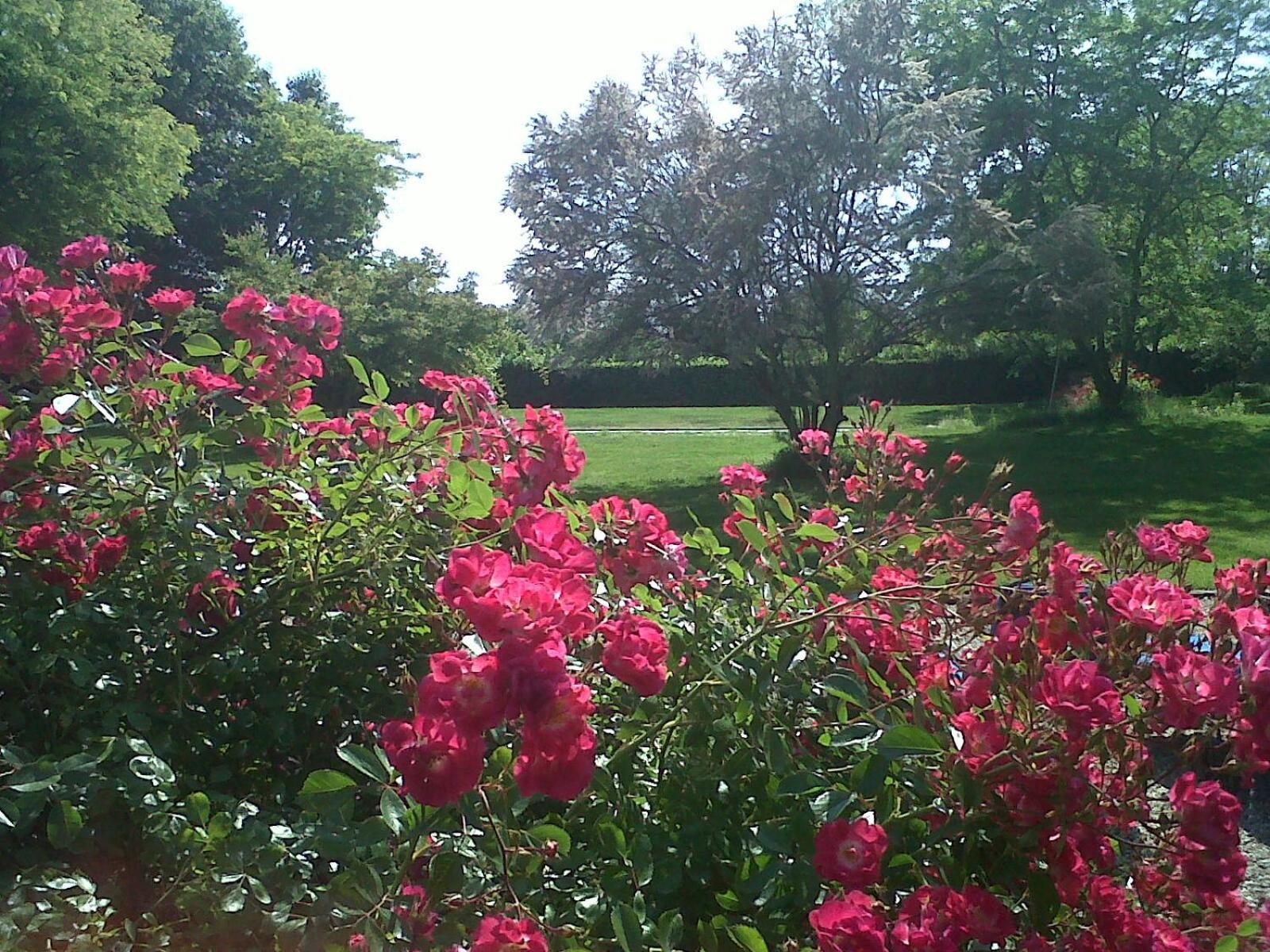 Photo 32