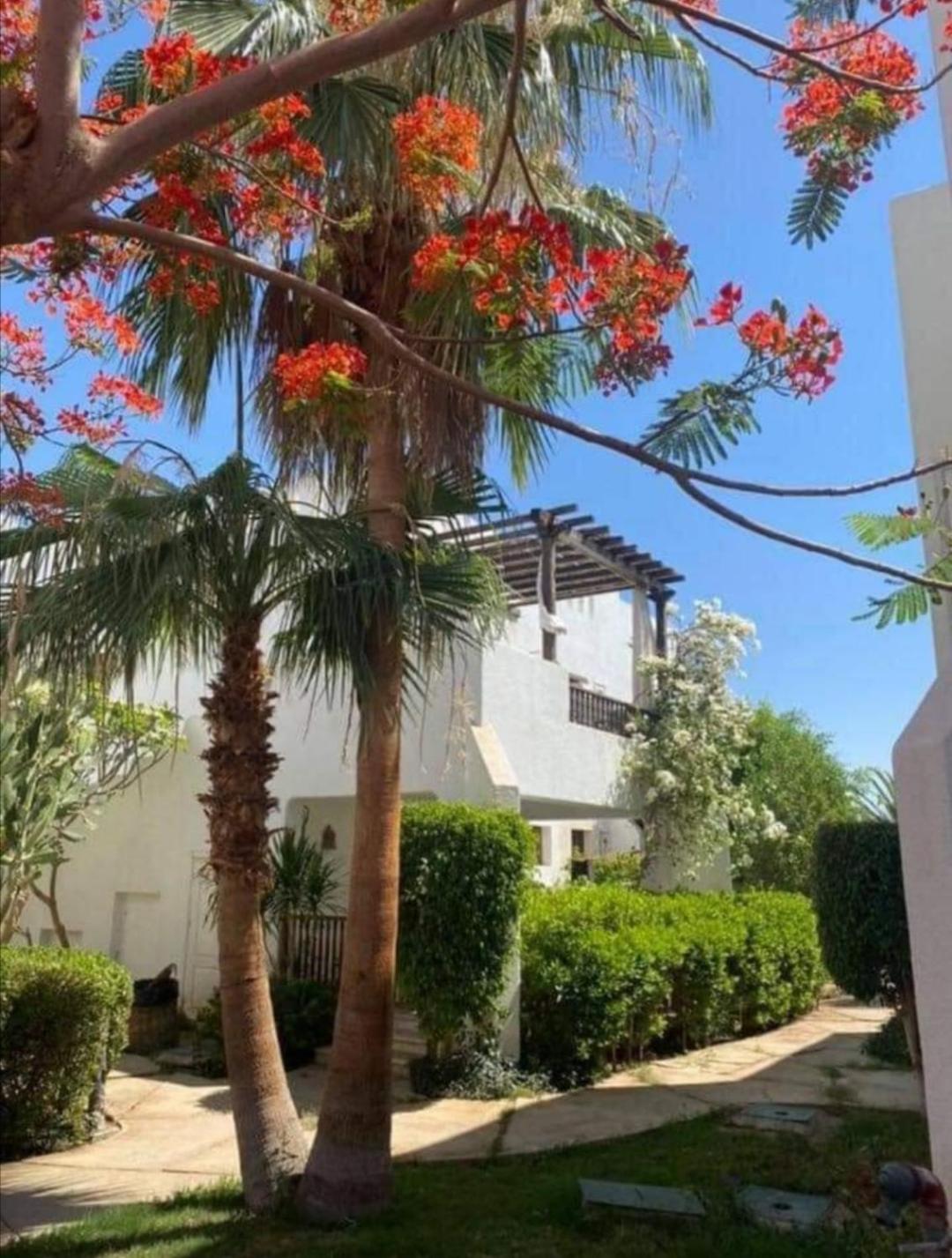 Delta Sharm Best Vacation