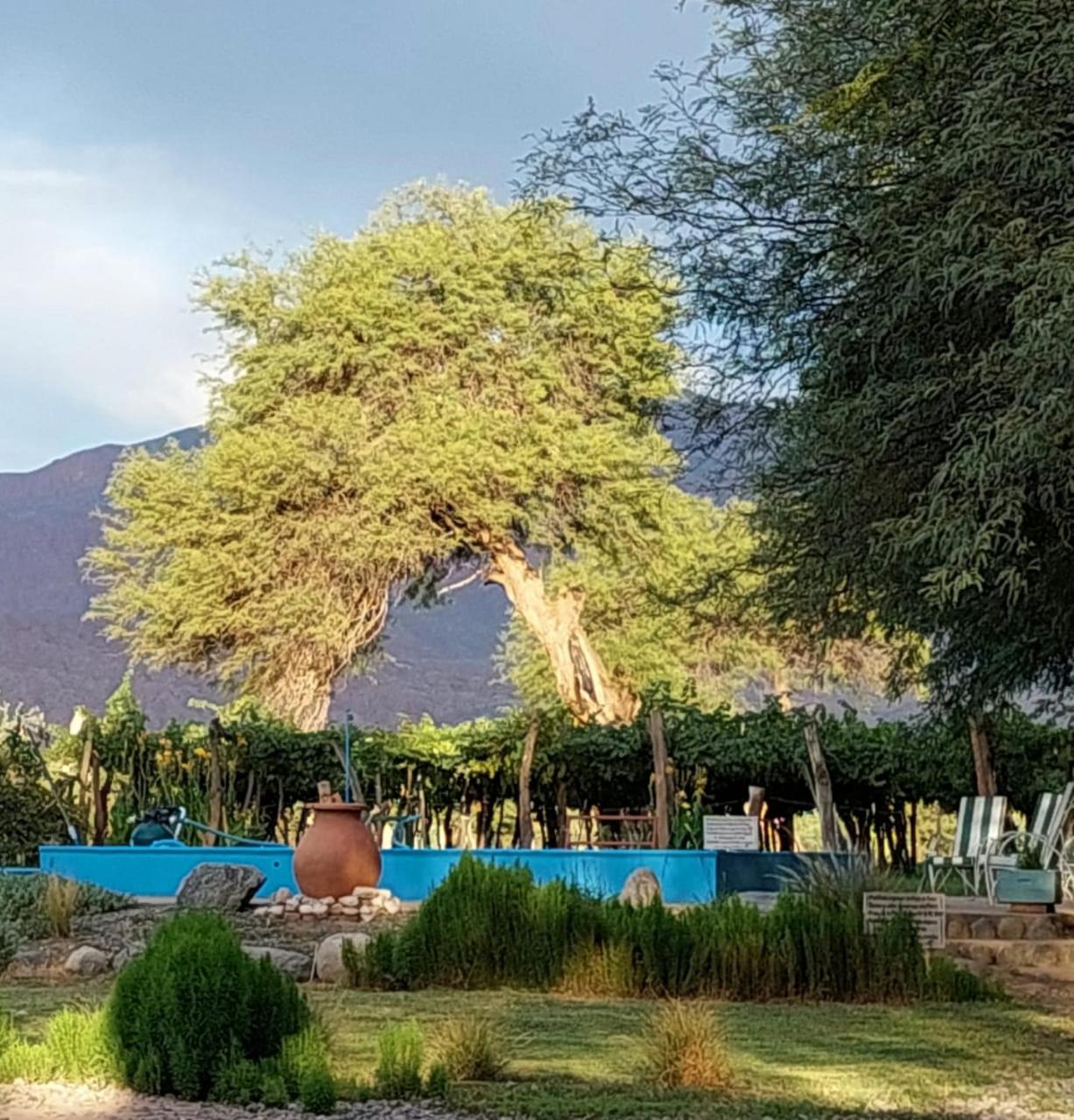 Las Tinajas de San Carlos